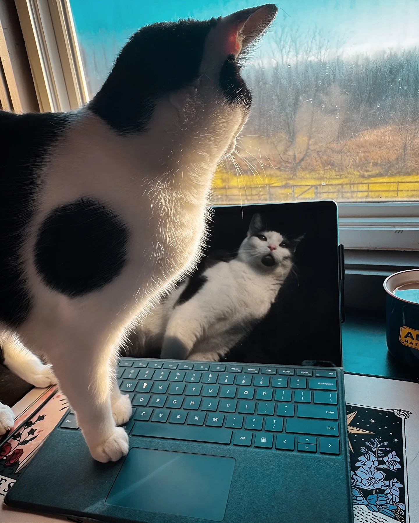 We have a cat catch phrase in our house: Are you helping or hindering?!

I&rsquo;m going to go with helping. At least, they&rsquo;re helping keep my stress levels low as I work on some marketing tasks (including getting ready to release the title of 