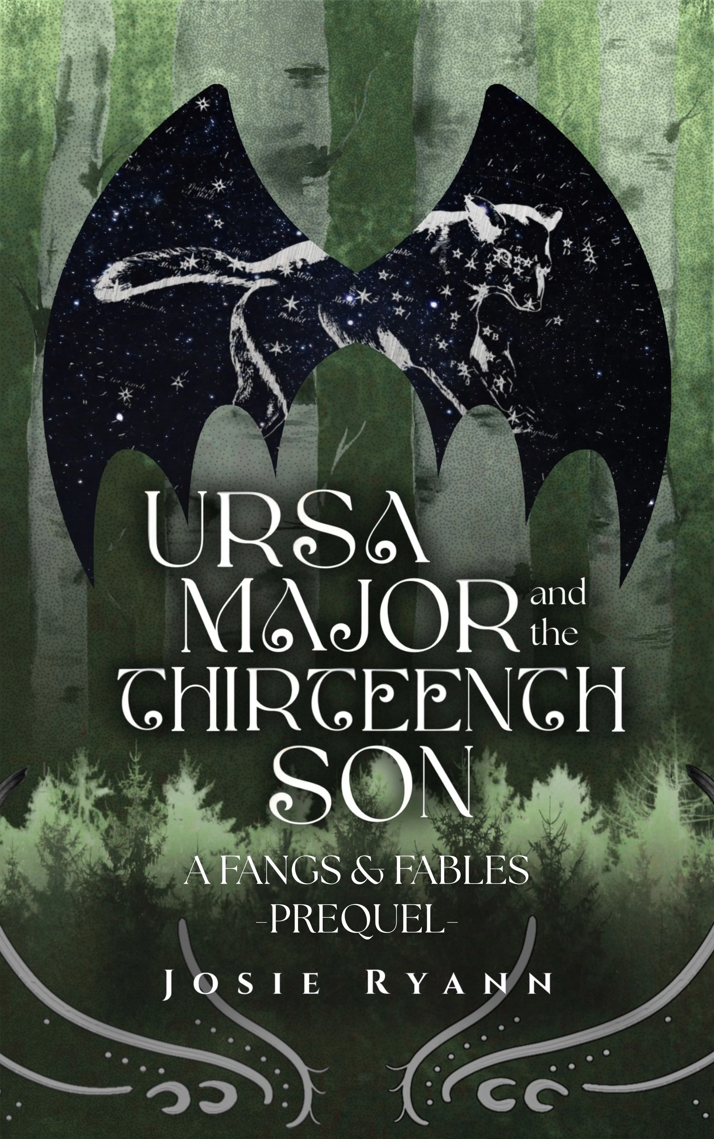 Ursa Major and the Thirteenth Son Cover Reveal!