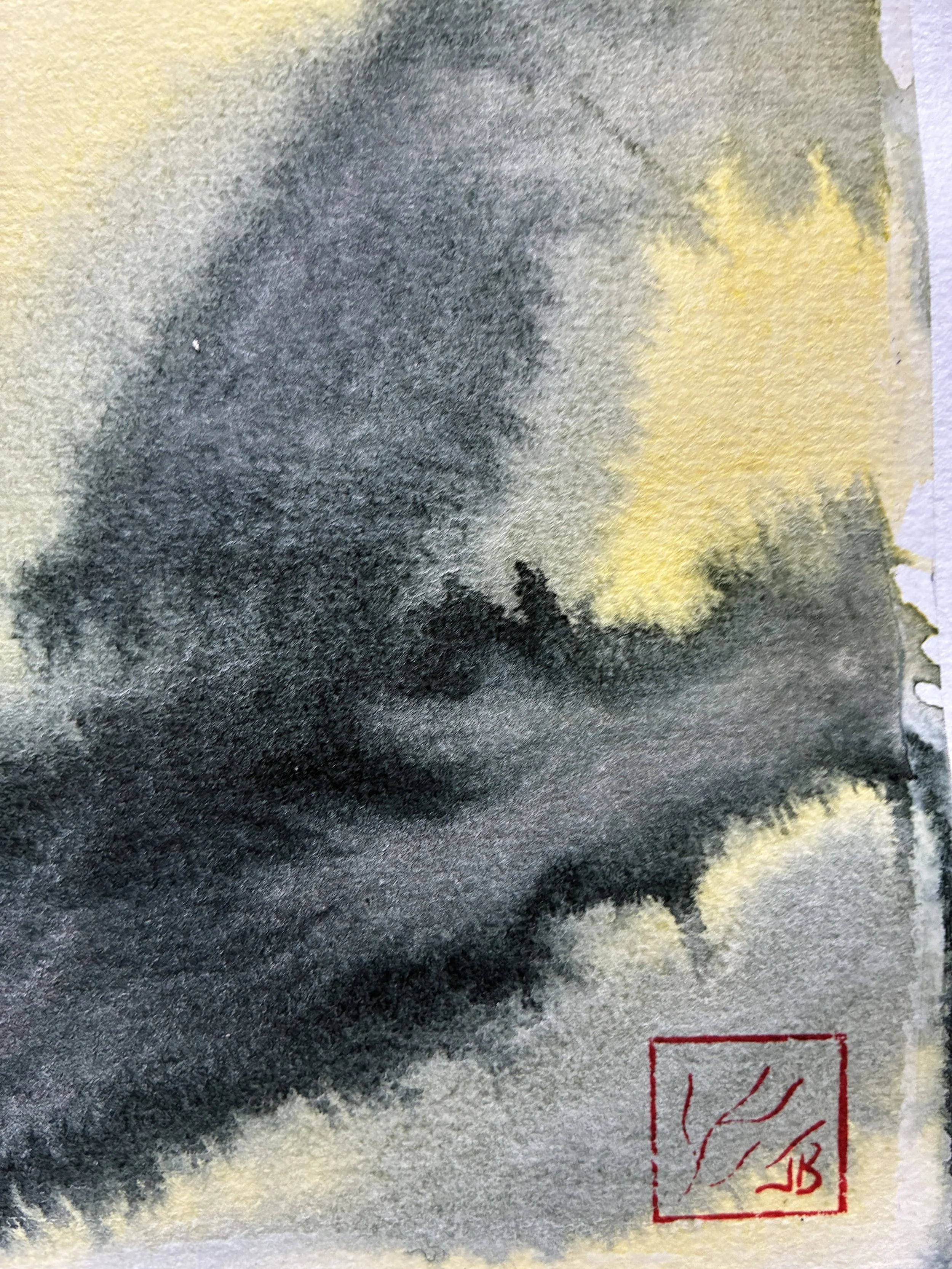 IMG_0507.jpeg