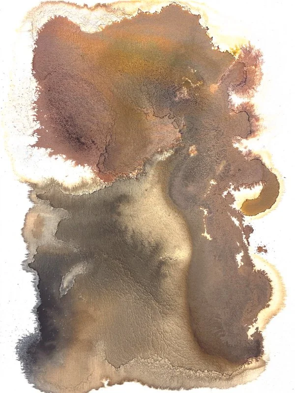 'Continental Drift': 60cm x 80cm: Botanic Ink on Raw Canvas