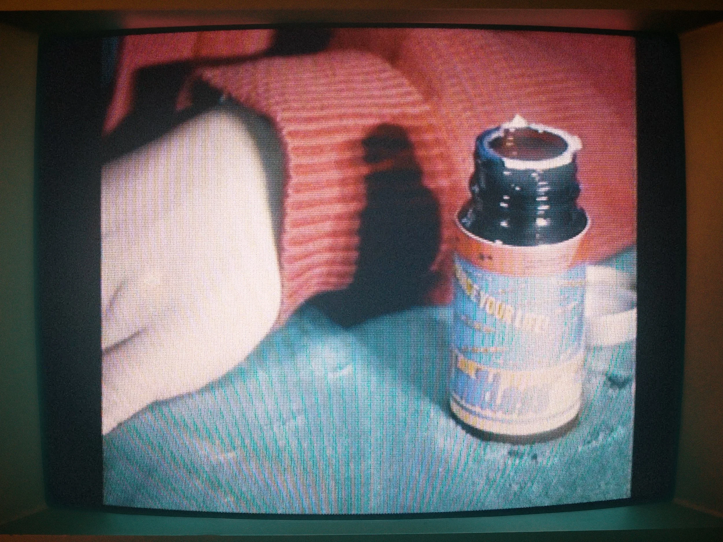 vid 1 tv shot 2.00_00_42_17.Still006.jpg