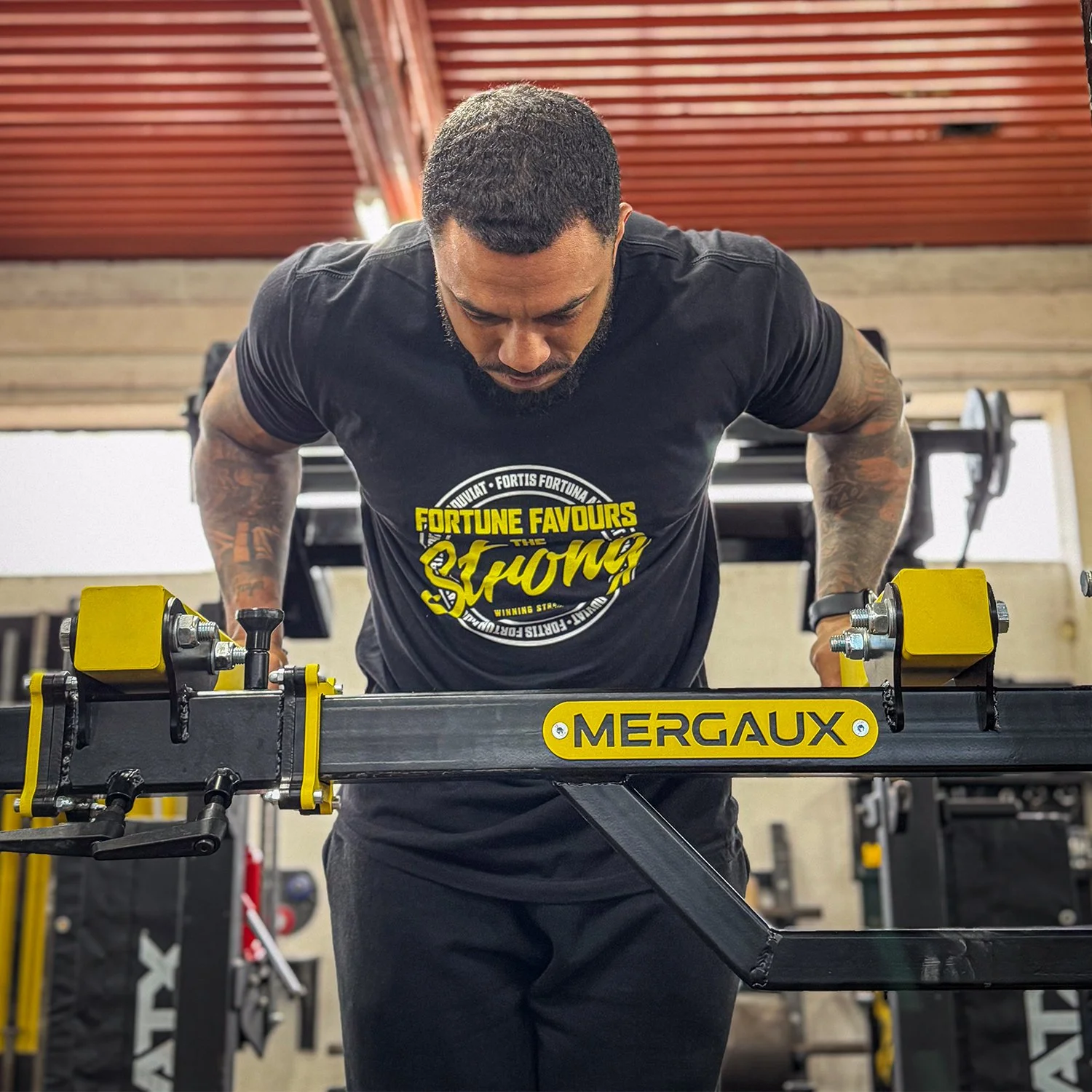 Fortune Favours the Strong - Owen Dip2.jpg