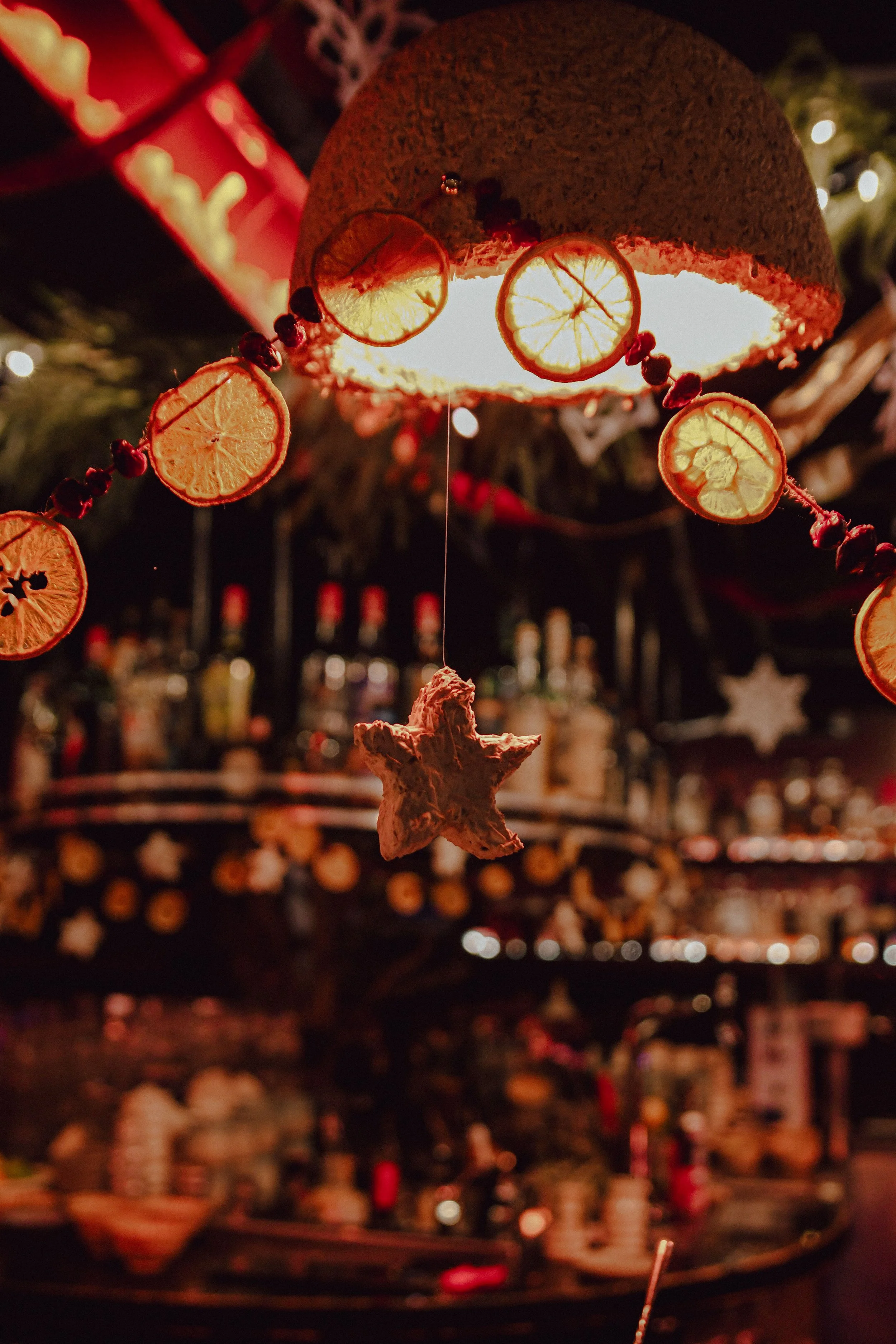 Kingfisher Holiday-sm-18.jpg