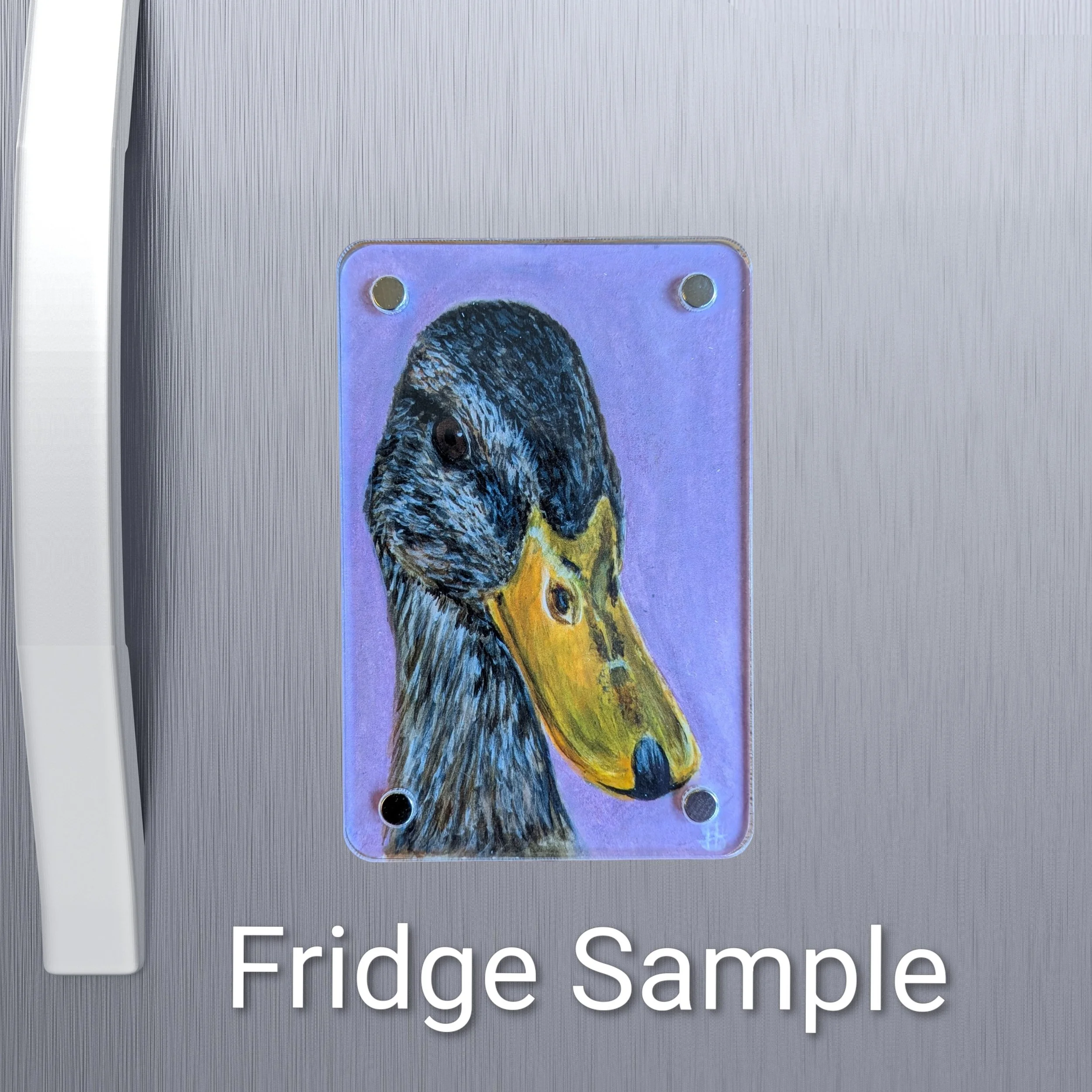 Duck Mini Art Magnet (Limited to 50)