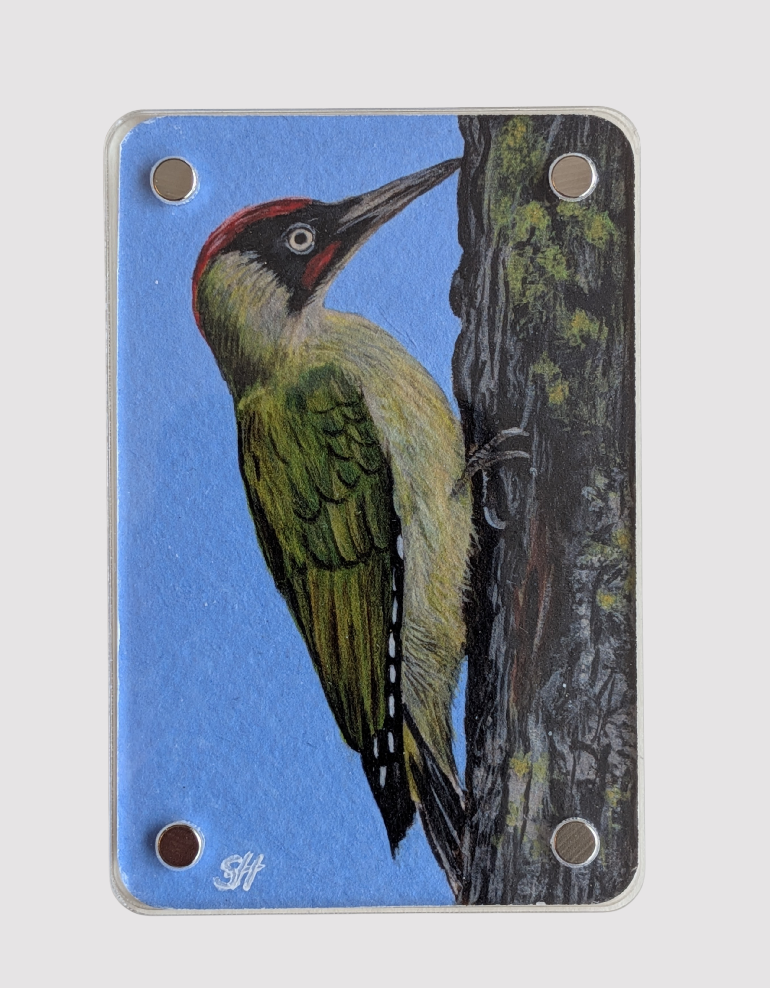 Green Woodpecker Mini Art Magnet (Limited to 50)
