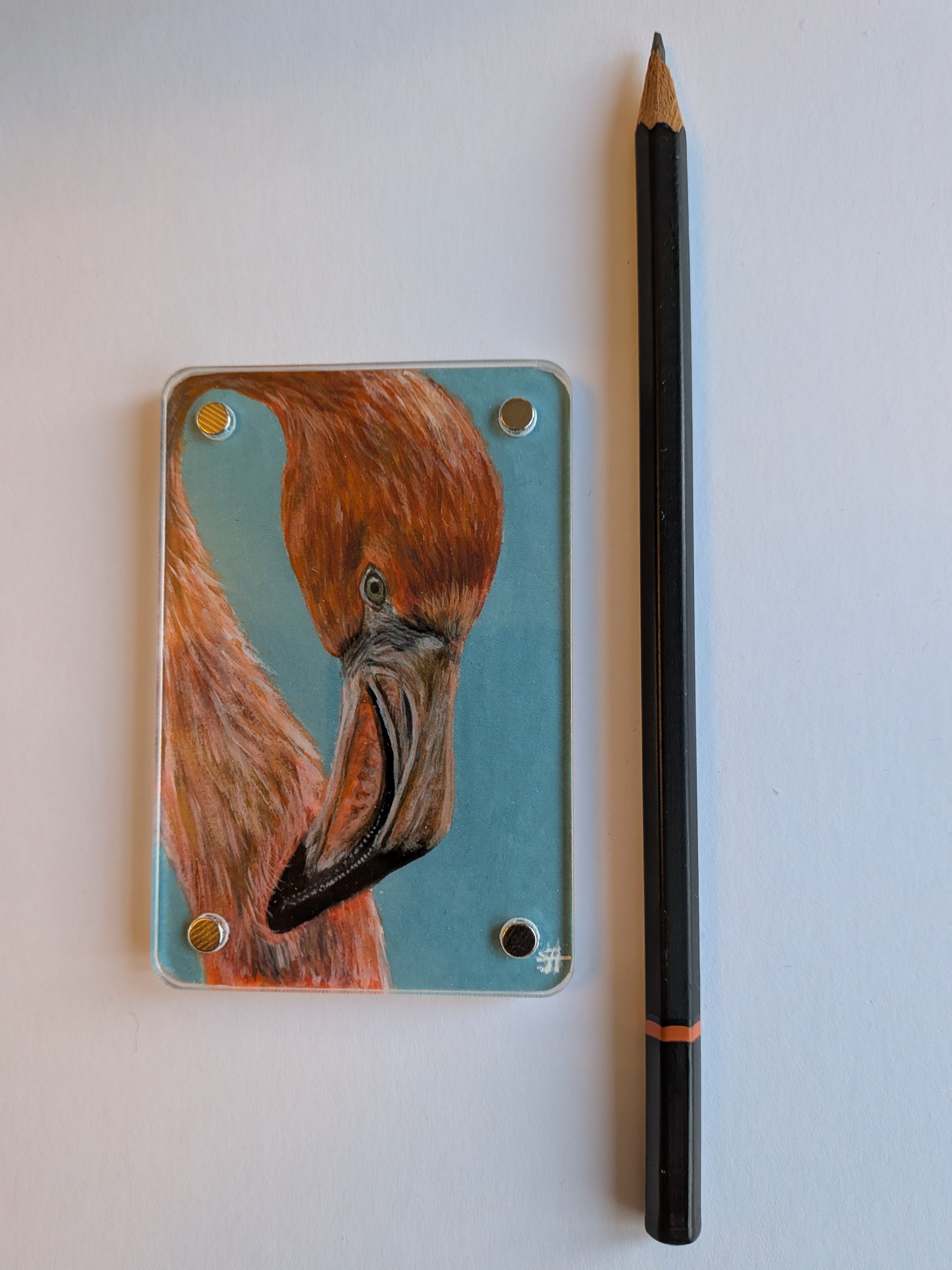 Flamingo with pencil.jpg