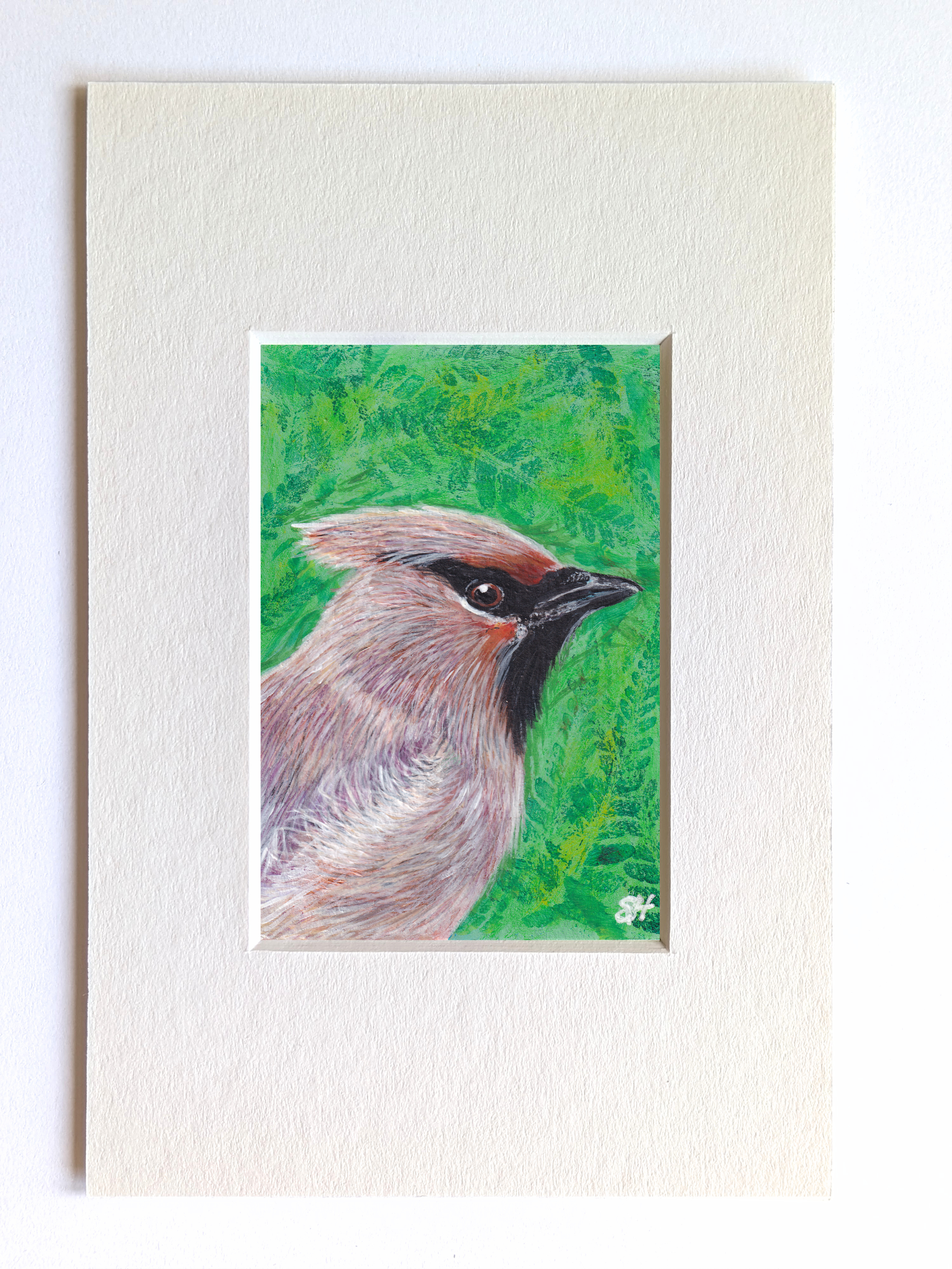 Waxwing Miniature Fine Art Painting