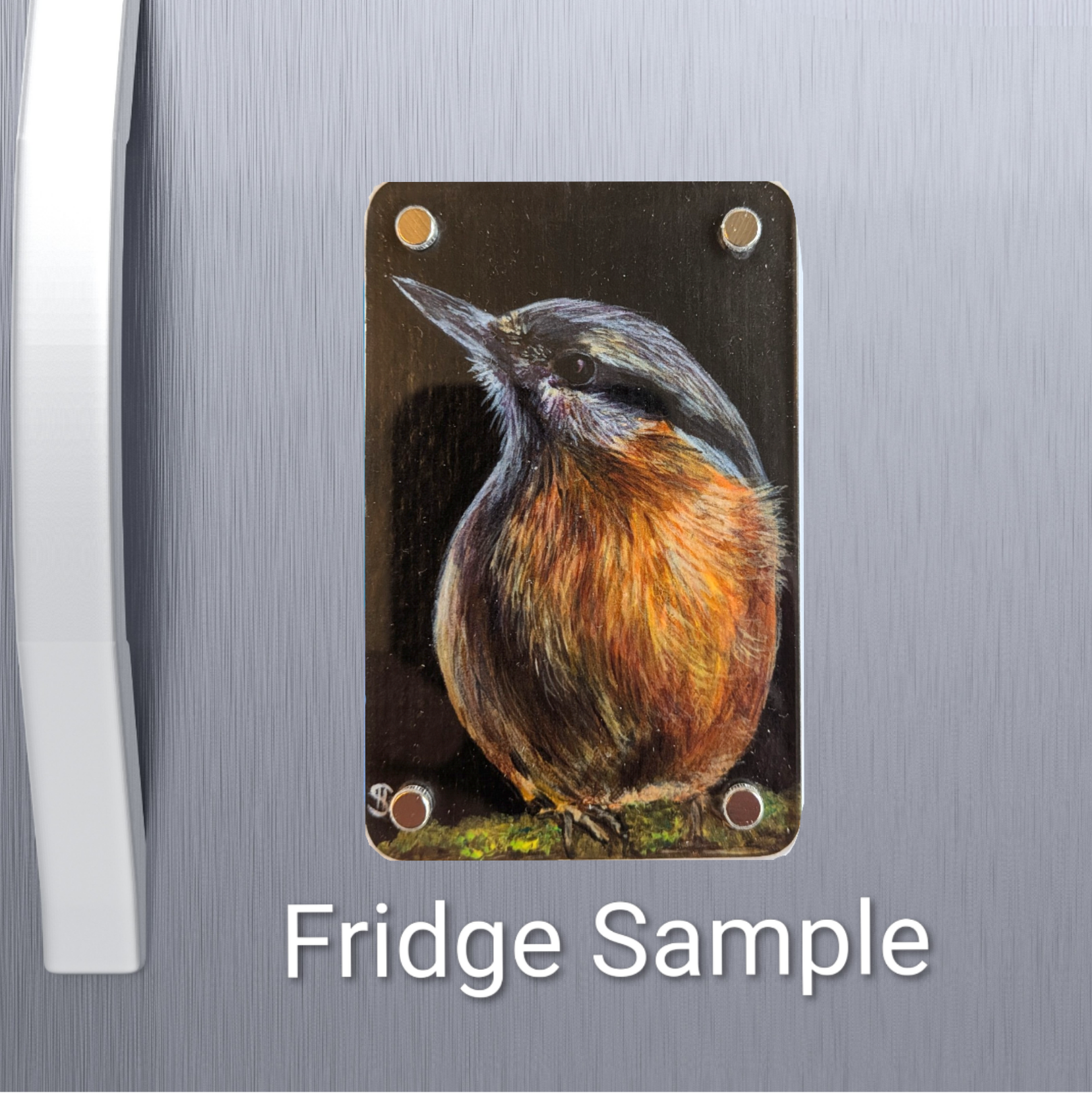 Nuthatch Mini Art Magnet (Limited to 50)