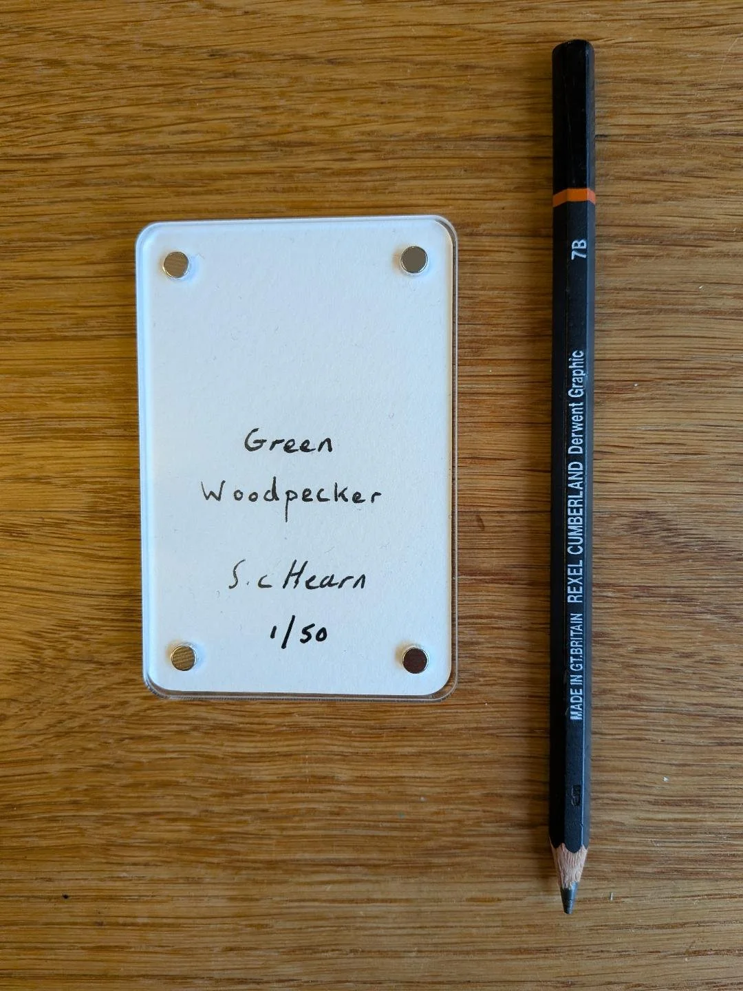 green woodpecker 3.jfif