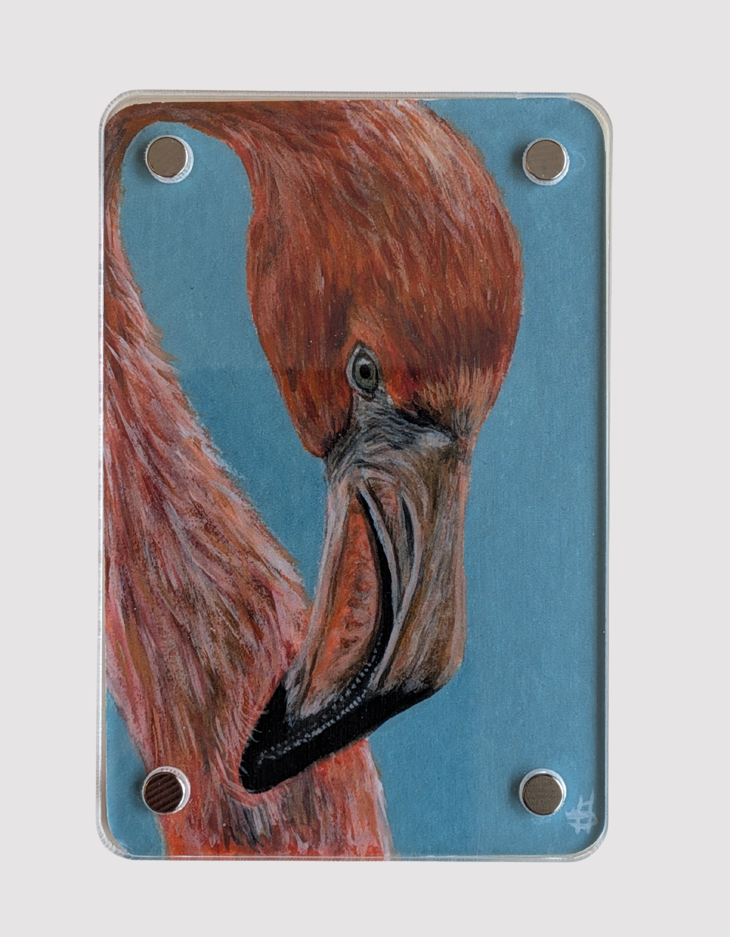 Flamingo - Mini Fine Art Magnet (Limited to 50)
