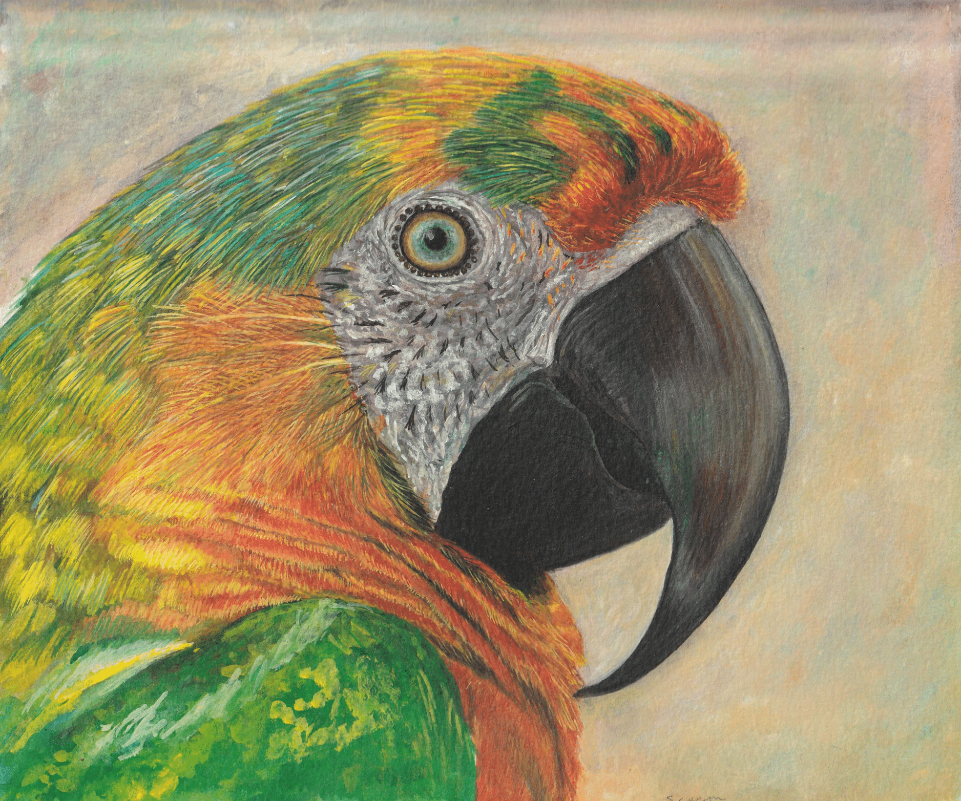 Parrot-1.png