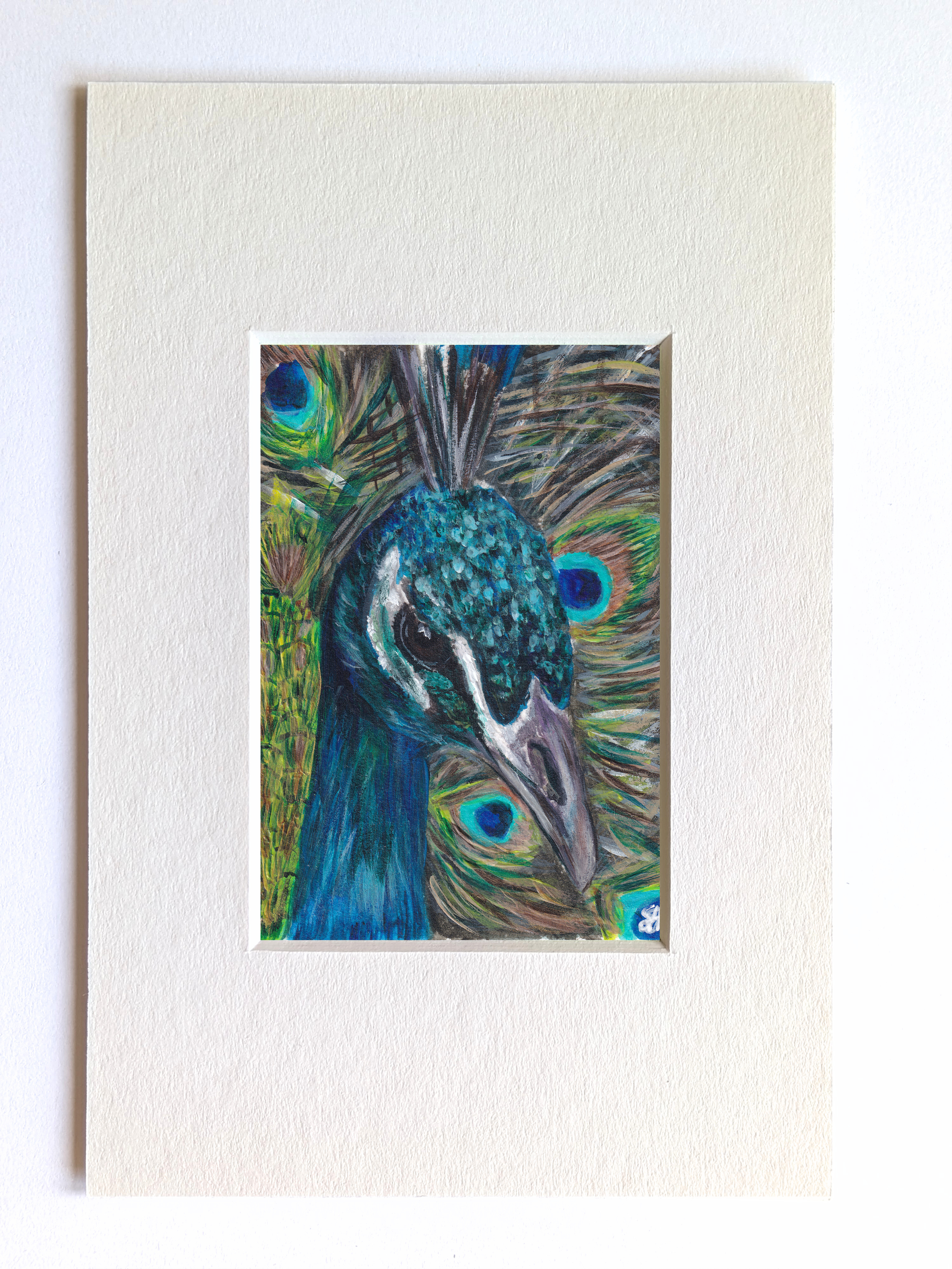 Peacock Miniature Fine Art Painting