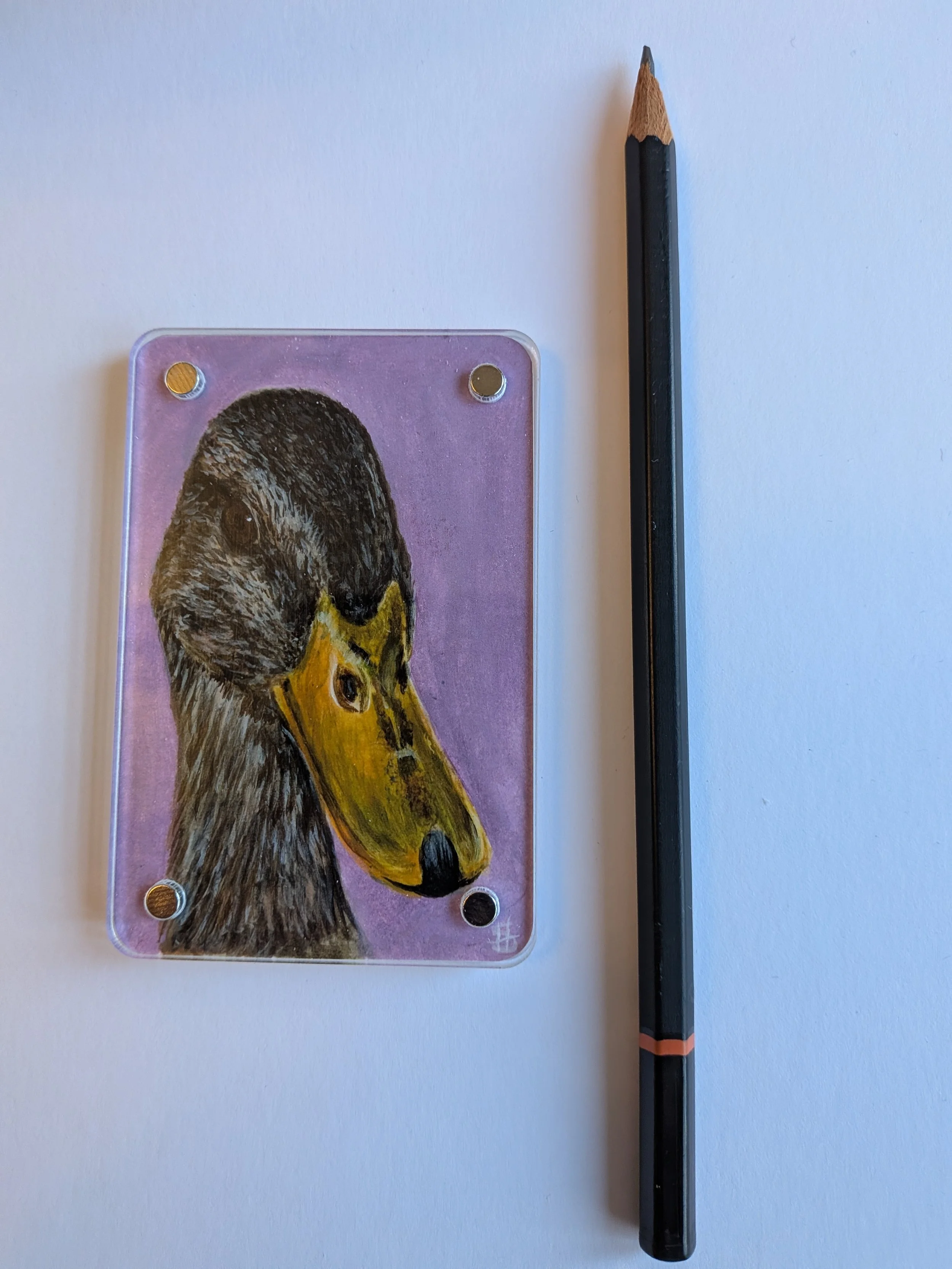 Duck with pencil.jpg
