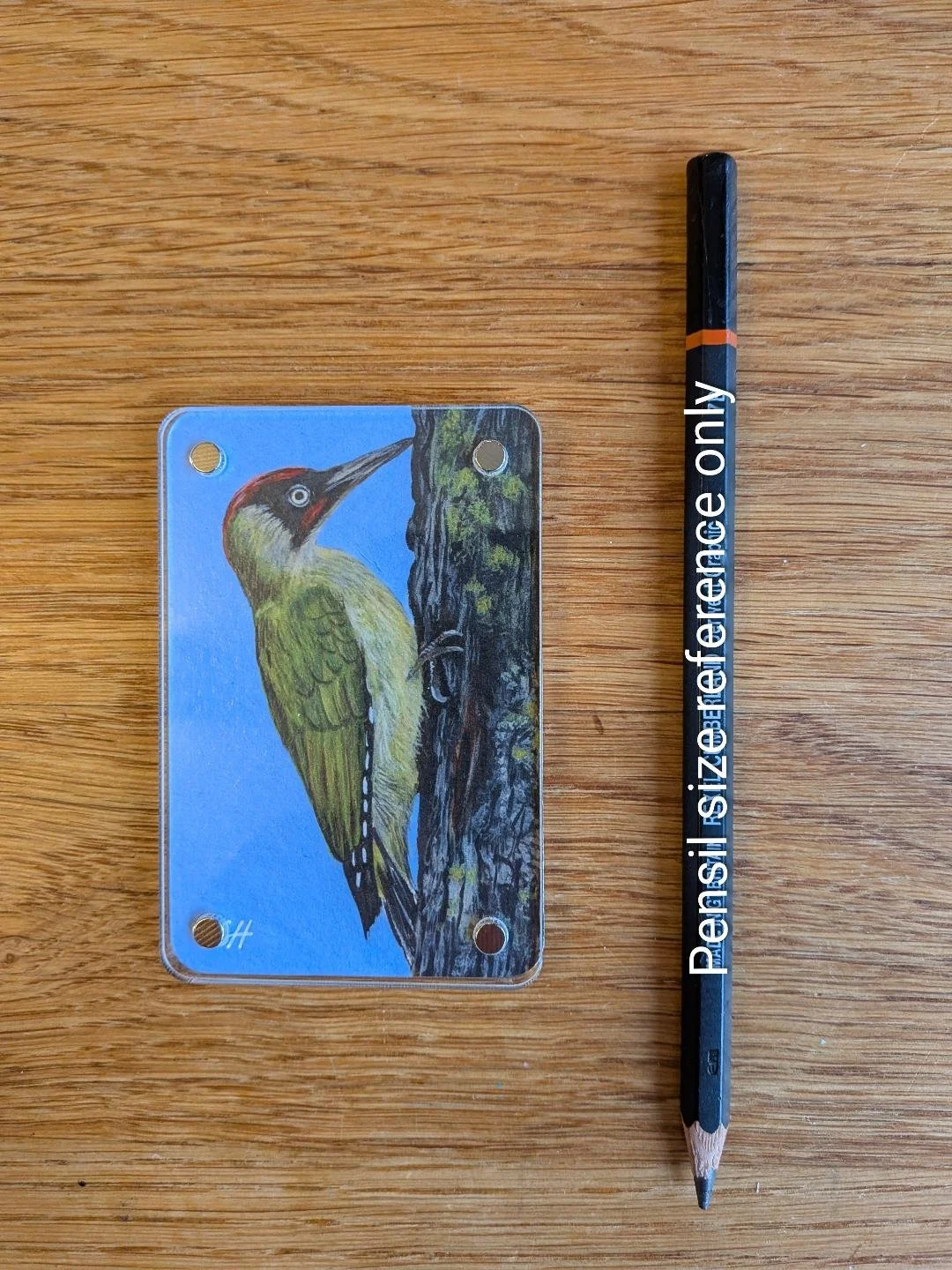 green woodpecker 4.jfif