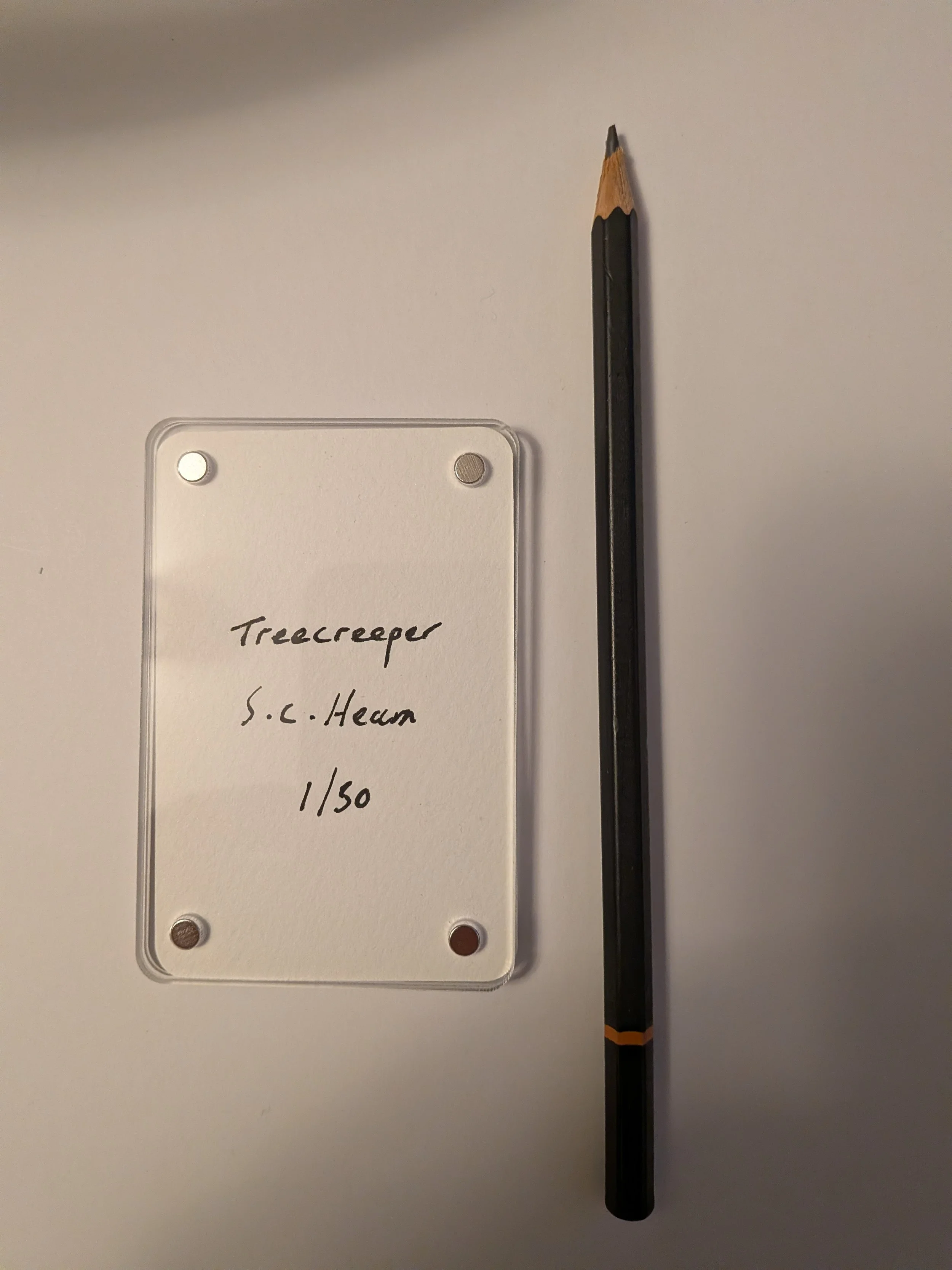 Treecreeper writing.jpg