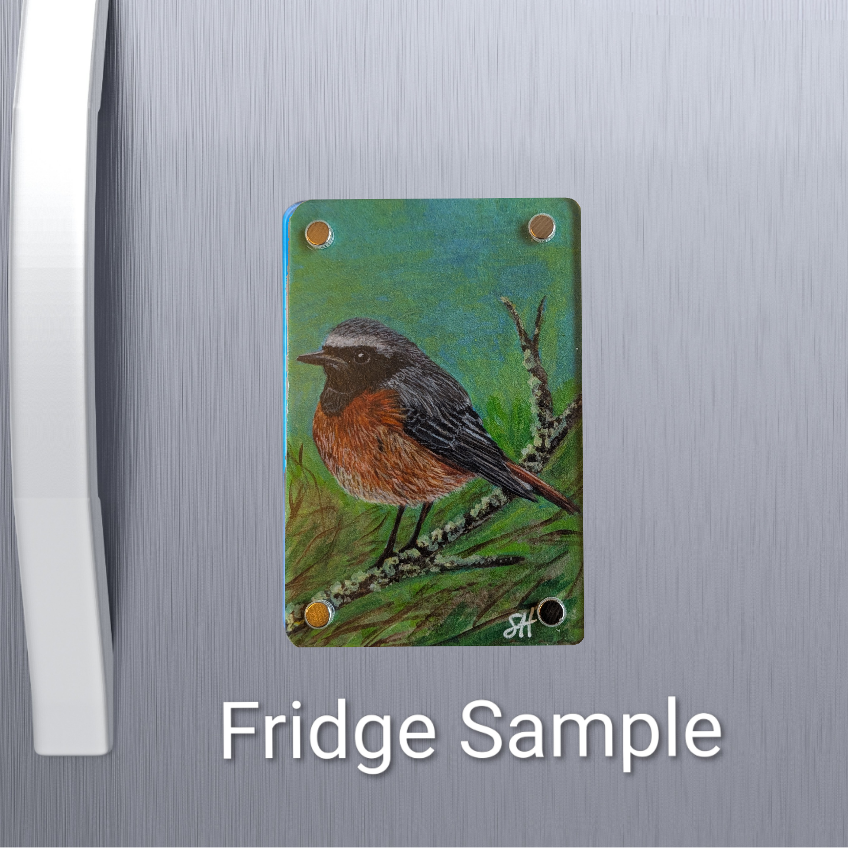 Redstart Fridge magnet.png