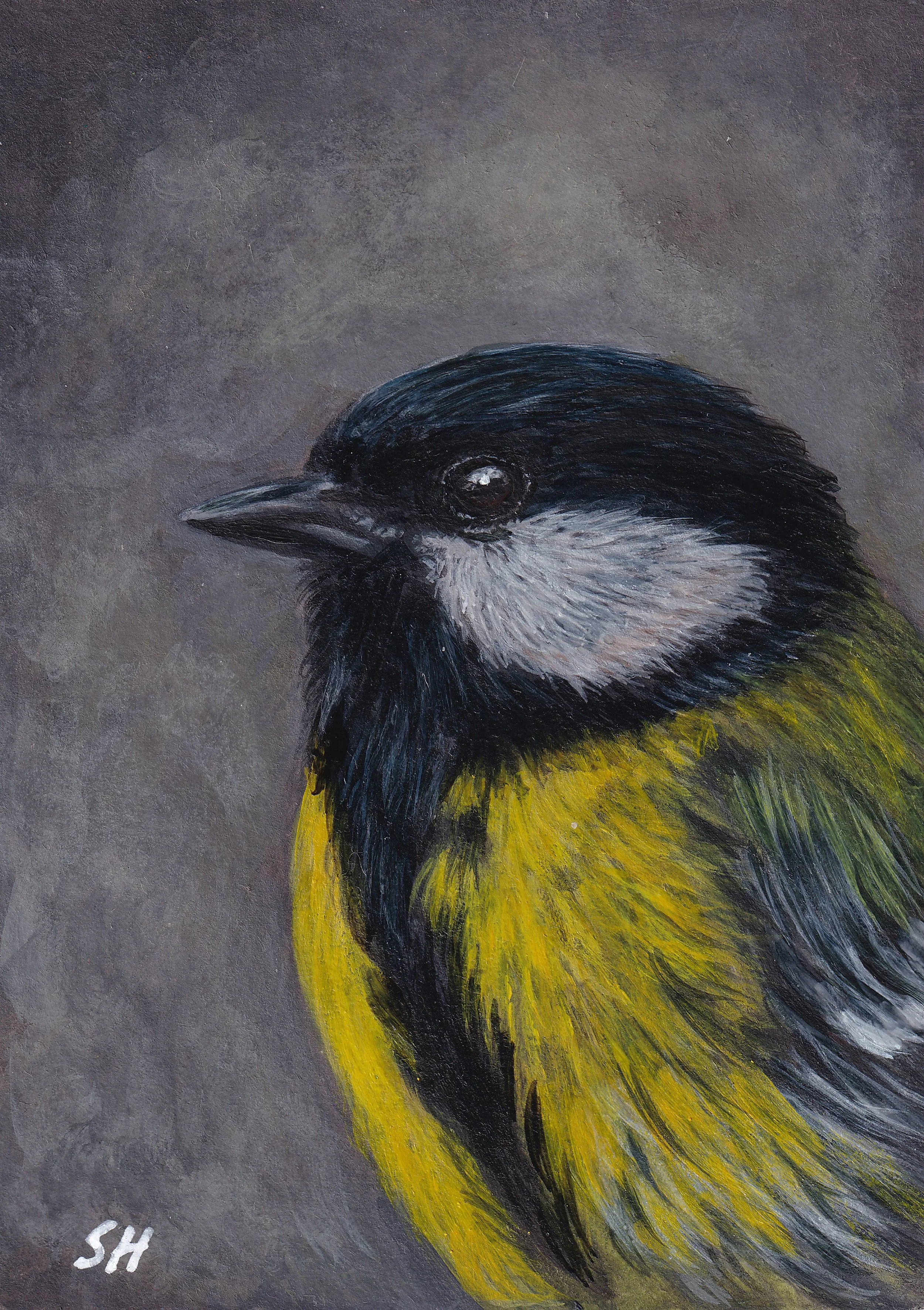 coal tit grey arty.jpg