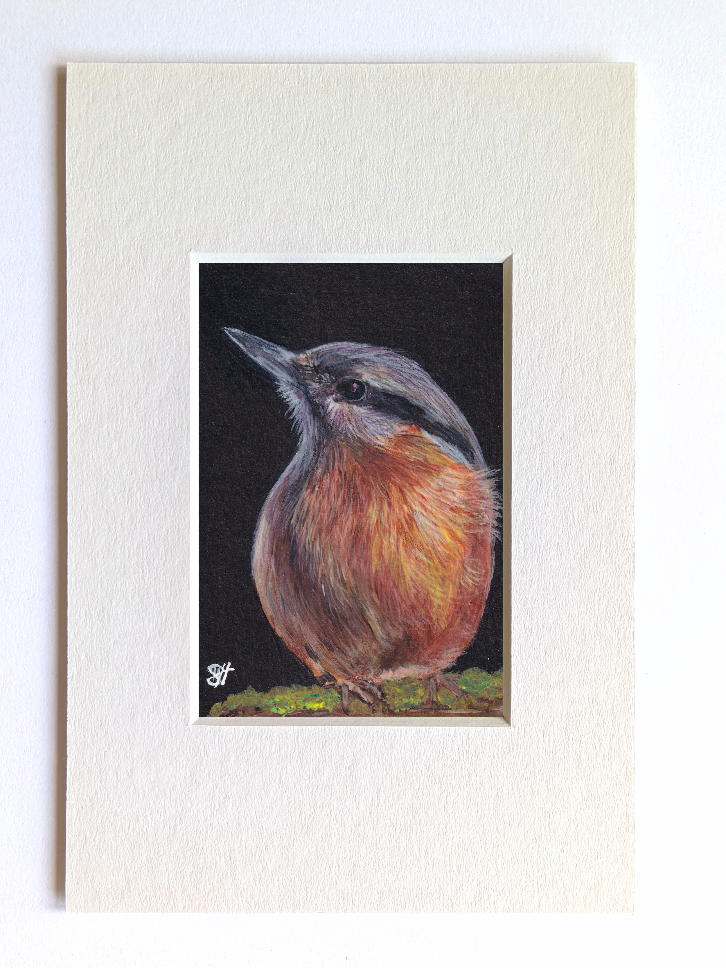 Nuthatch Miniature Fine Art Painting