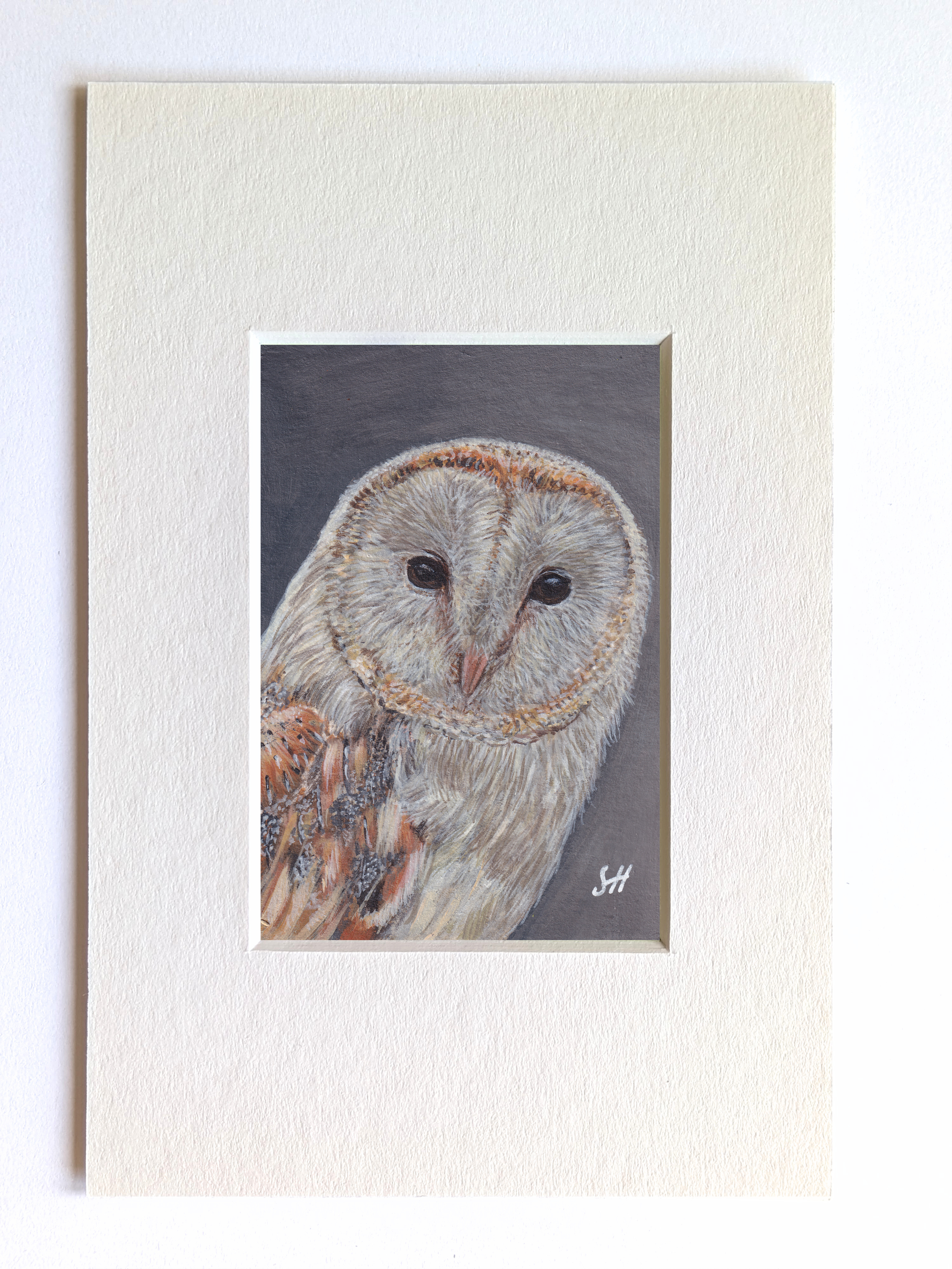 Barn Owl Original Miniature Fine Art Painting