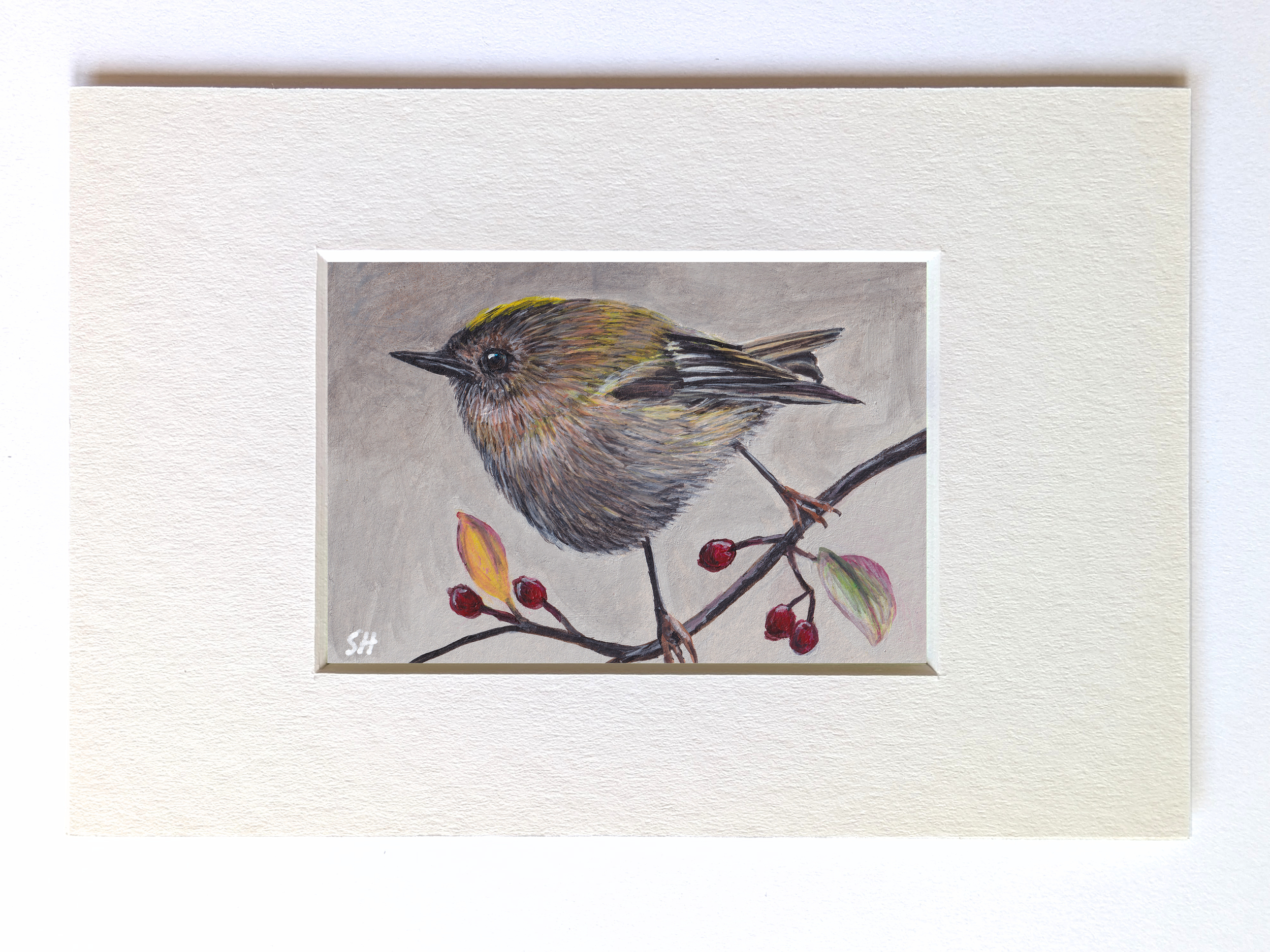 goldcrest.png