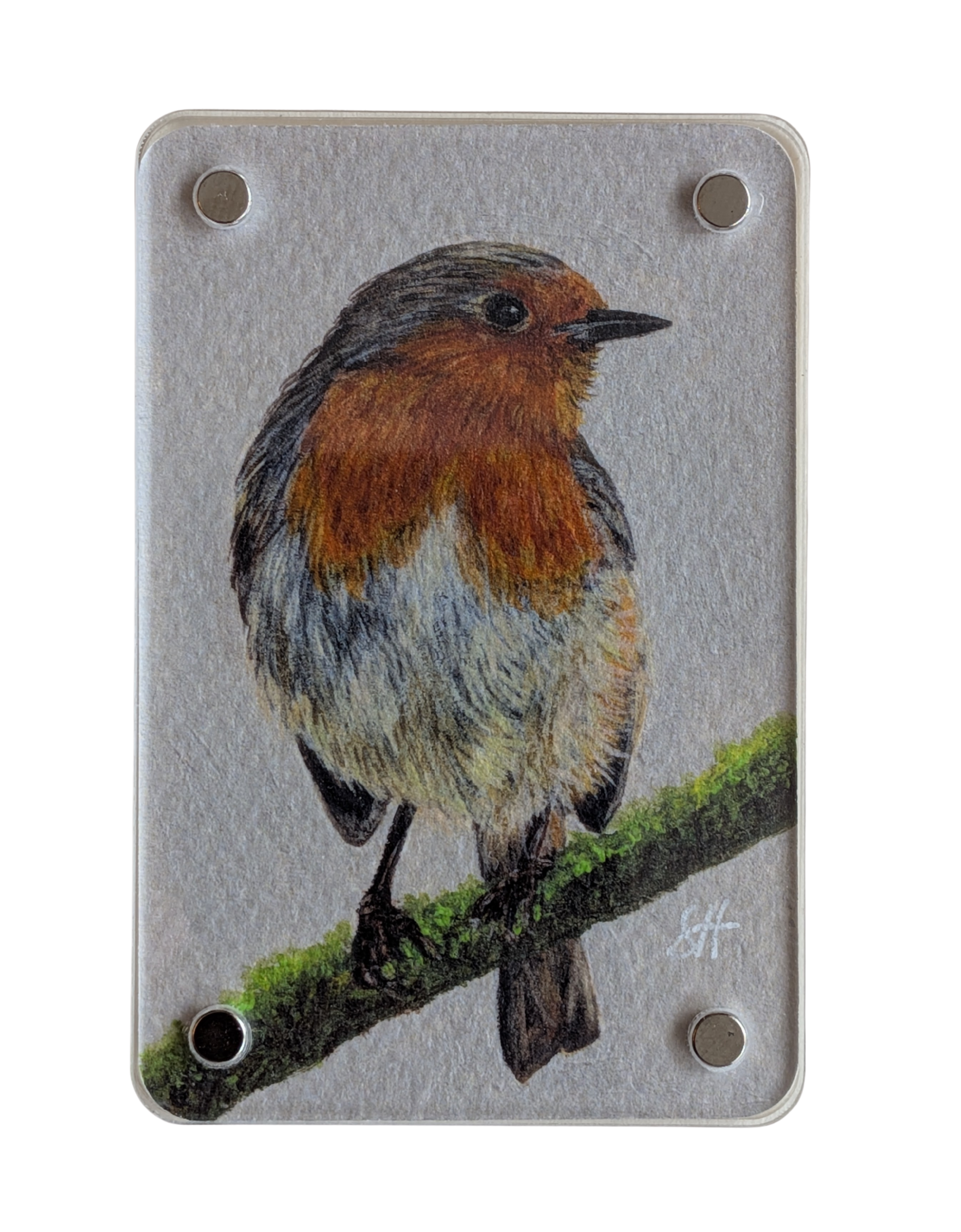 Robin - Mini Fine Art Magnet (Limited to 50)