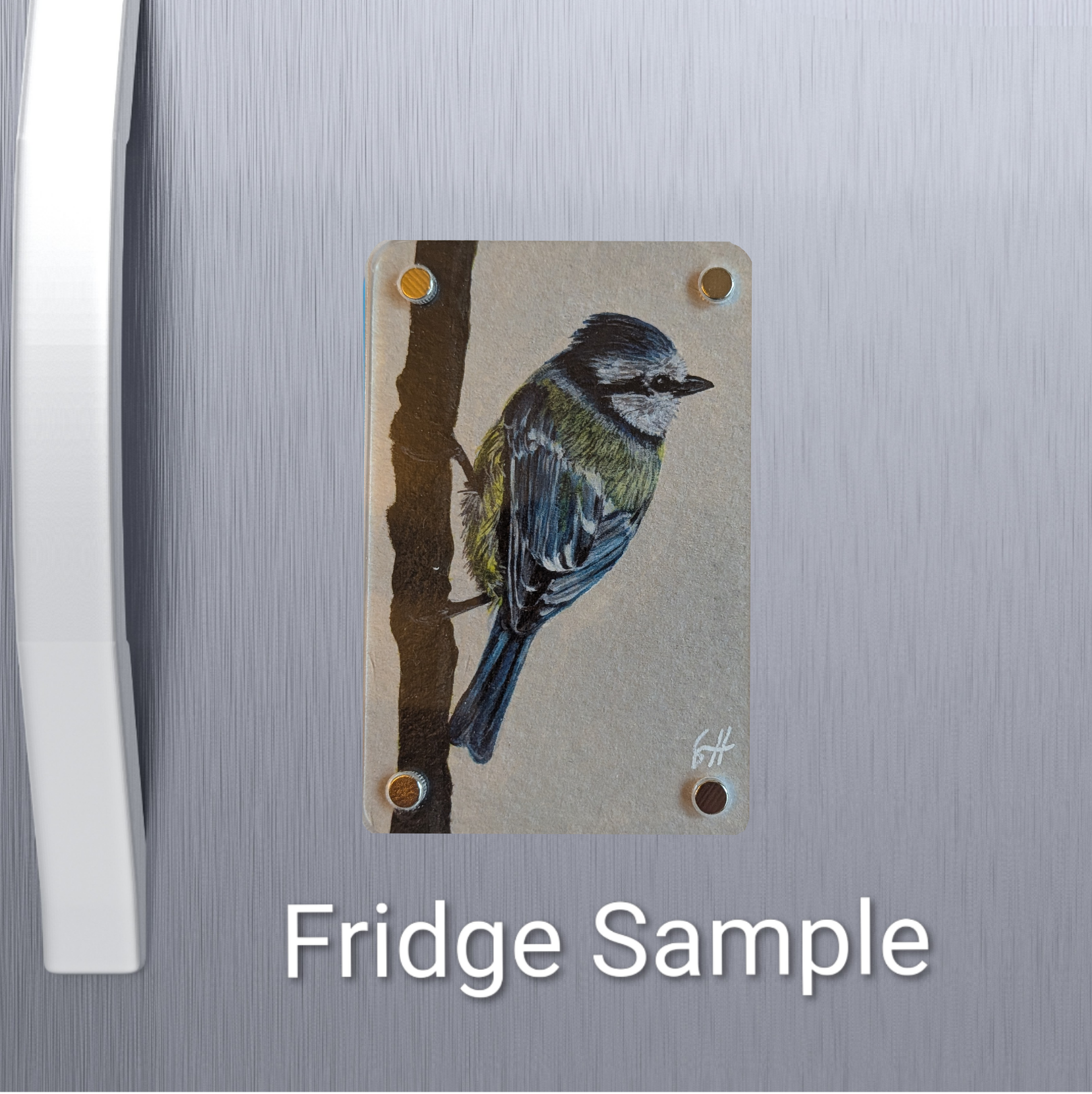 Blue Tit Mini Art Magnet  (Limited to 50)