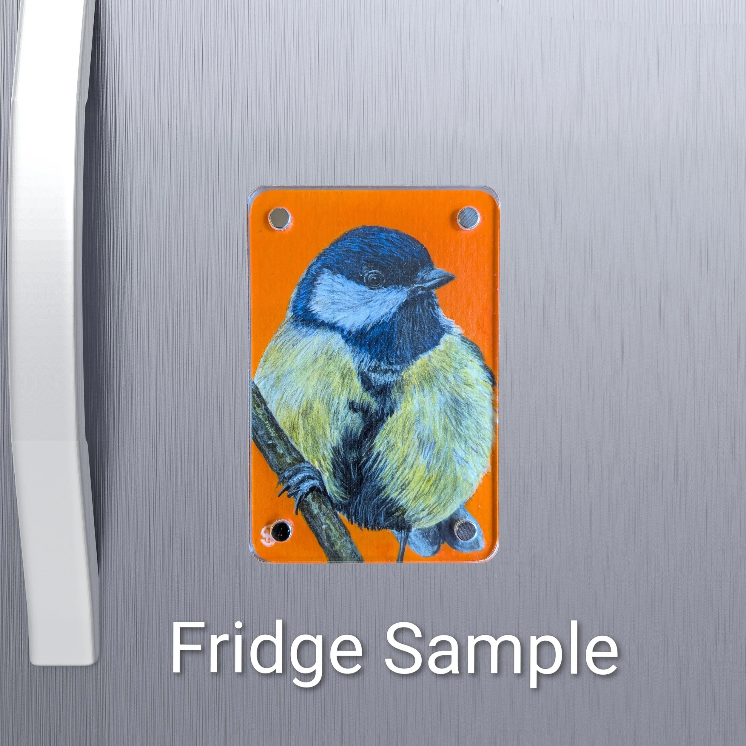 Great Tit Mini Art Magnet (Limited to 50)