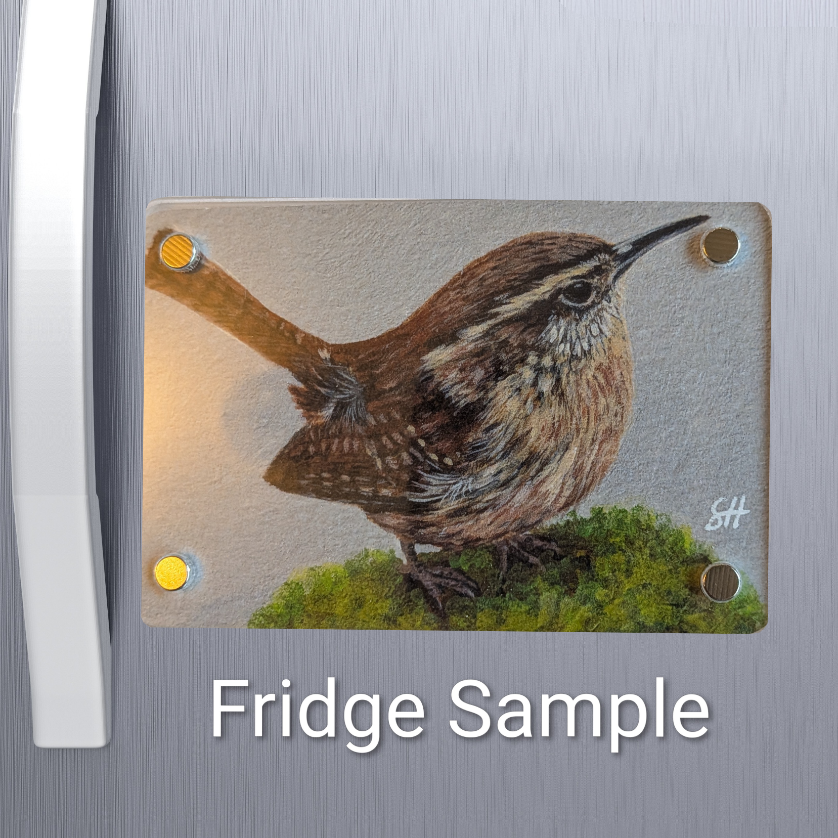 Wren Mini Art Magnet (Limited to 50)