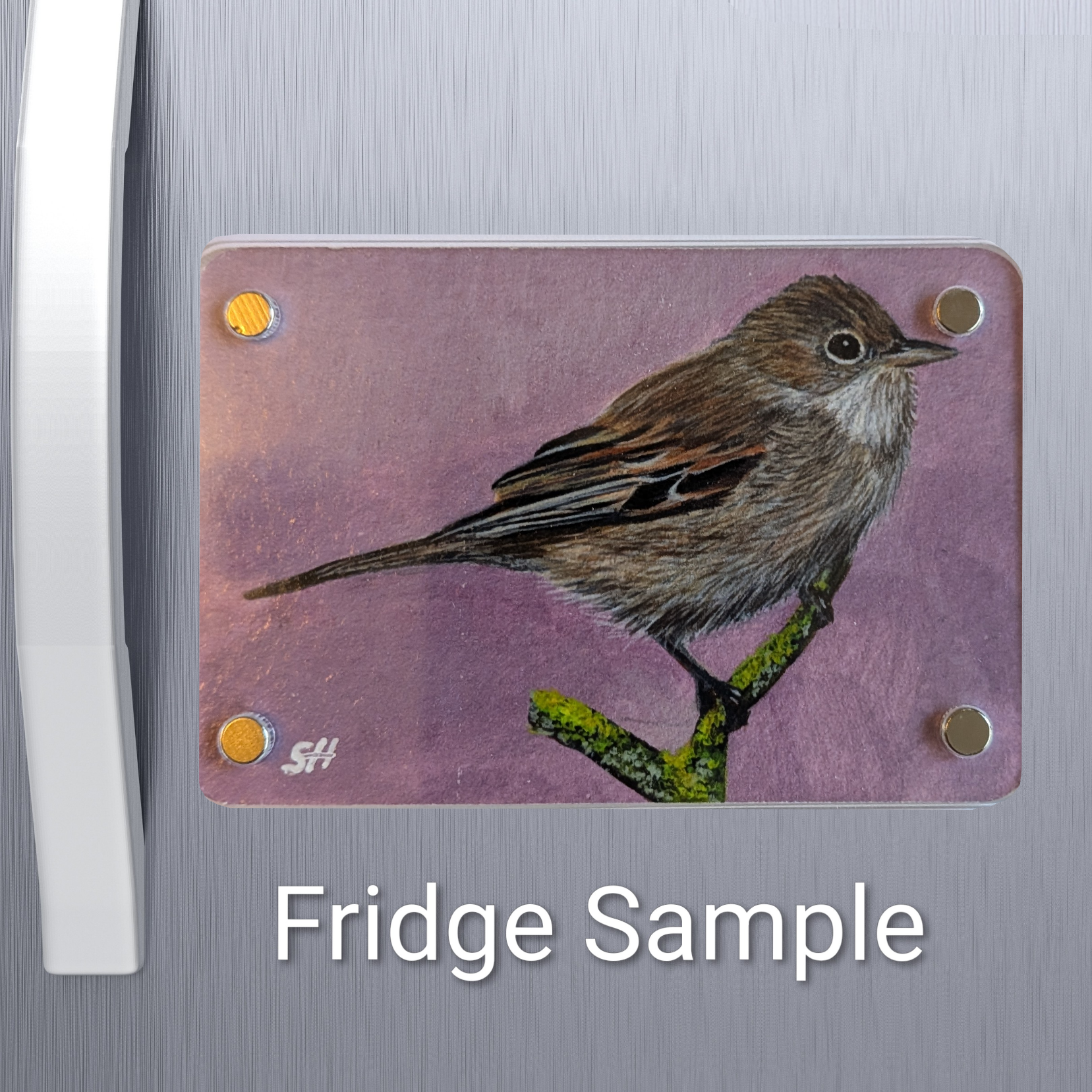 Whitethroat Mini Art Magnet (Limited to 50)