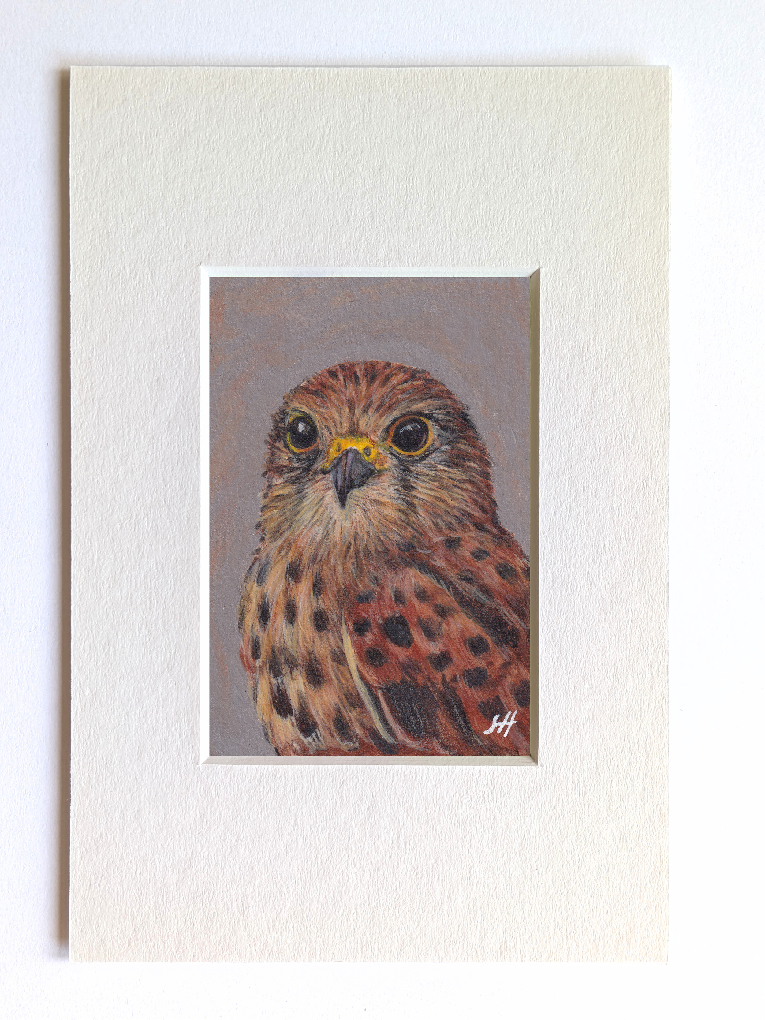 Kestrel Miniature Fine Art Painting