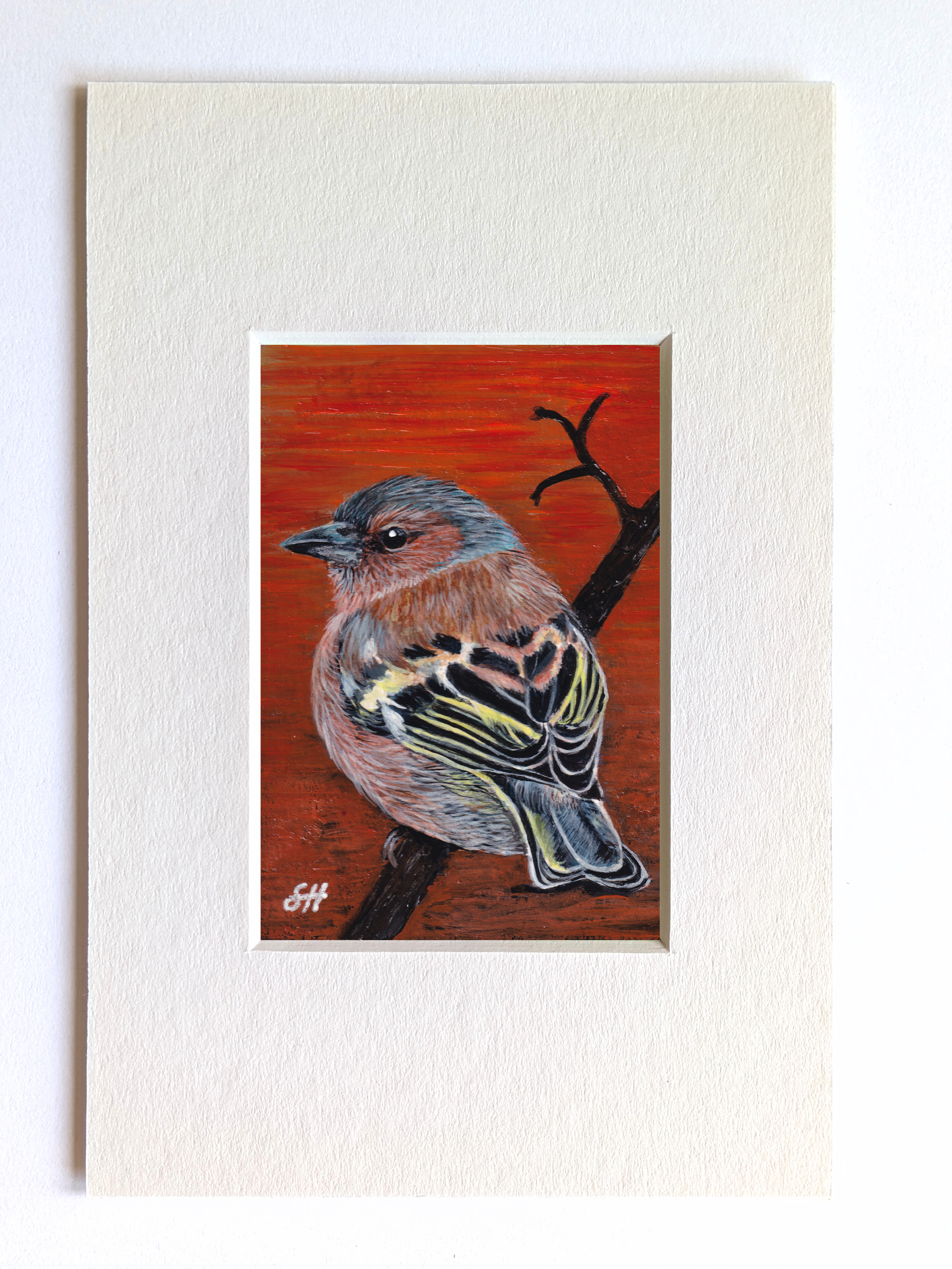 Eurasian Chaffinch Miniature Fine Art Painting