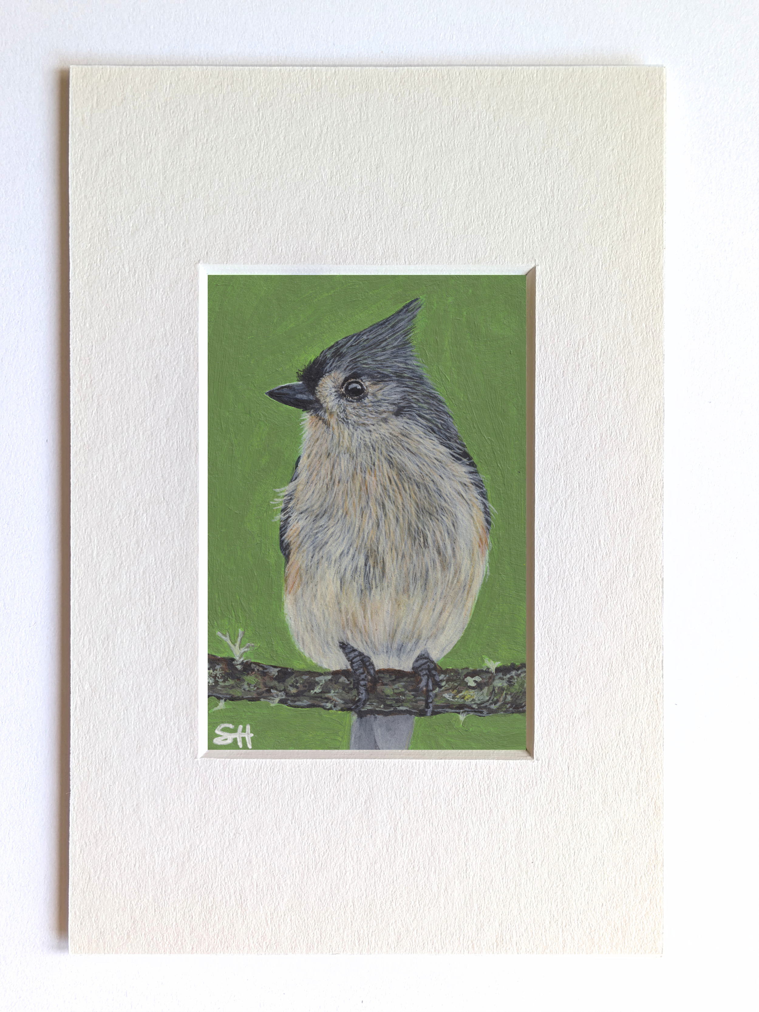 Tufted Titmouse Miniature Fine Art Painting
