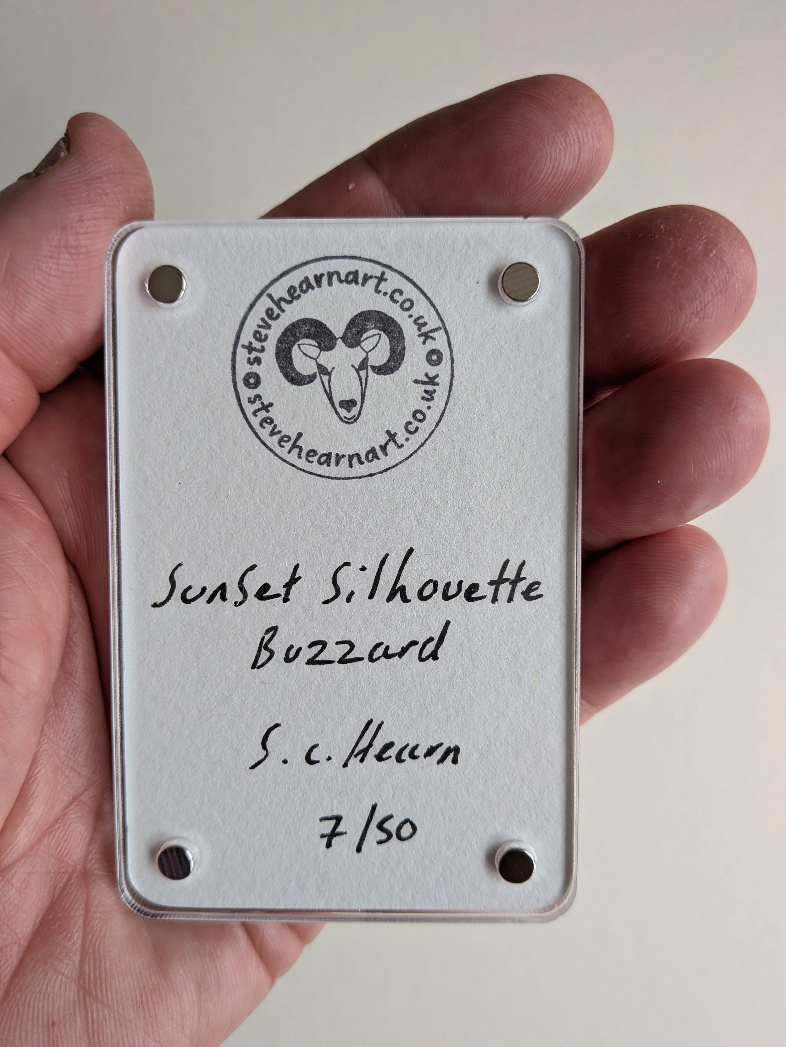 sunset silhouette buzzard back.jpg