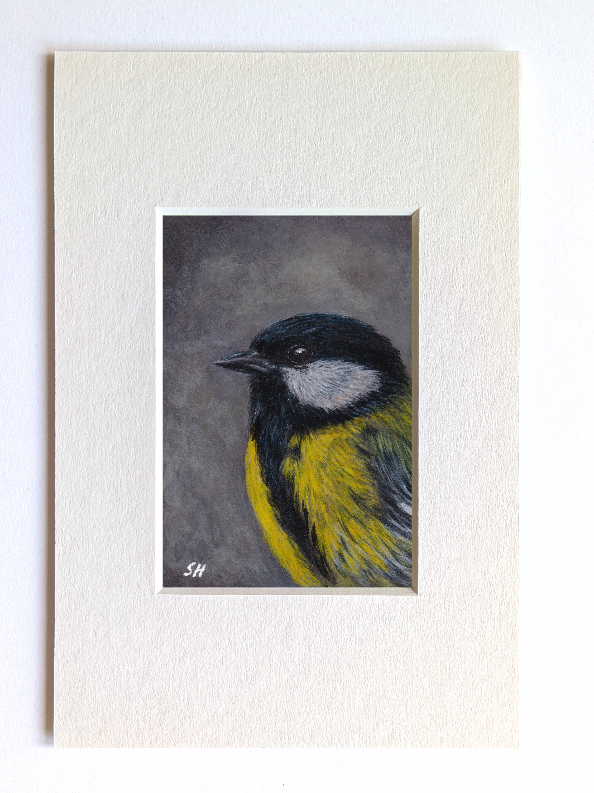 Great Tit - Miniature Fine Art Painting