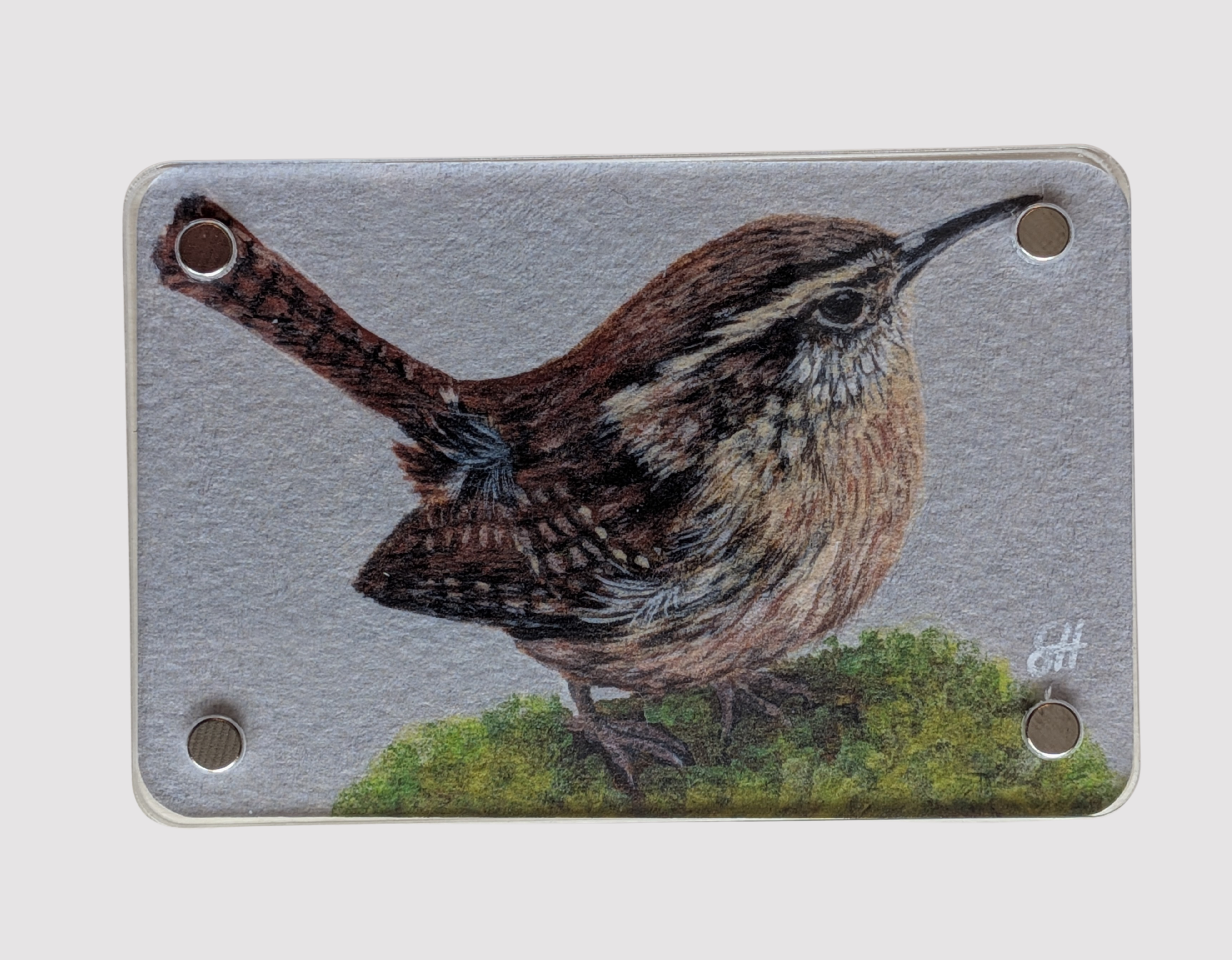 Wren - Mini Fine Art Magnet (Limited to 50)