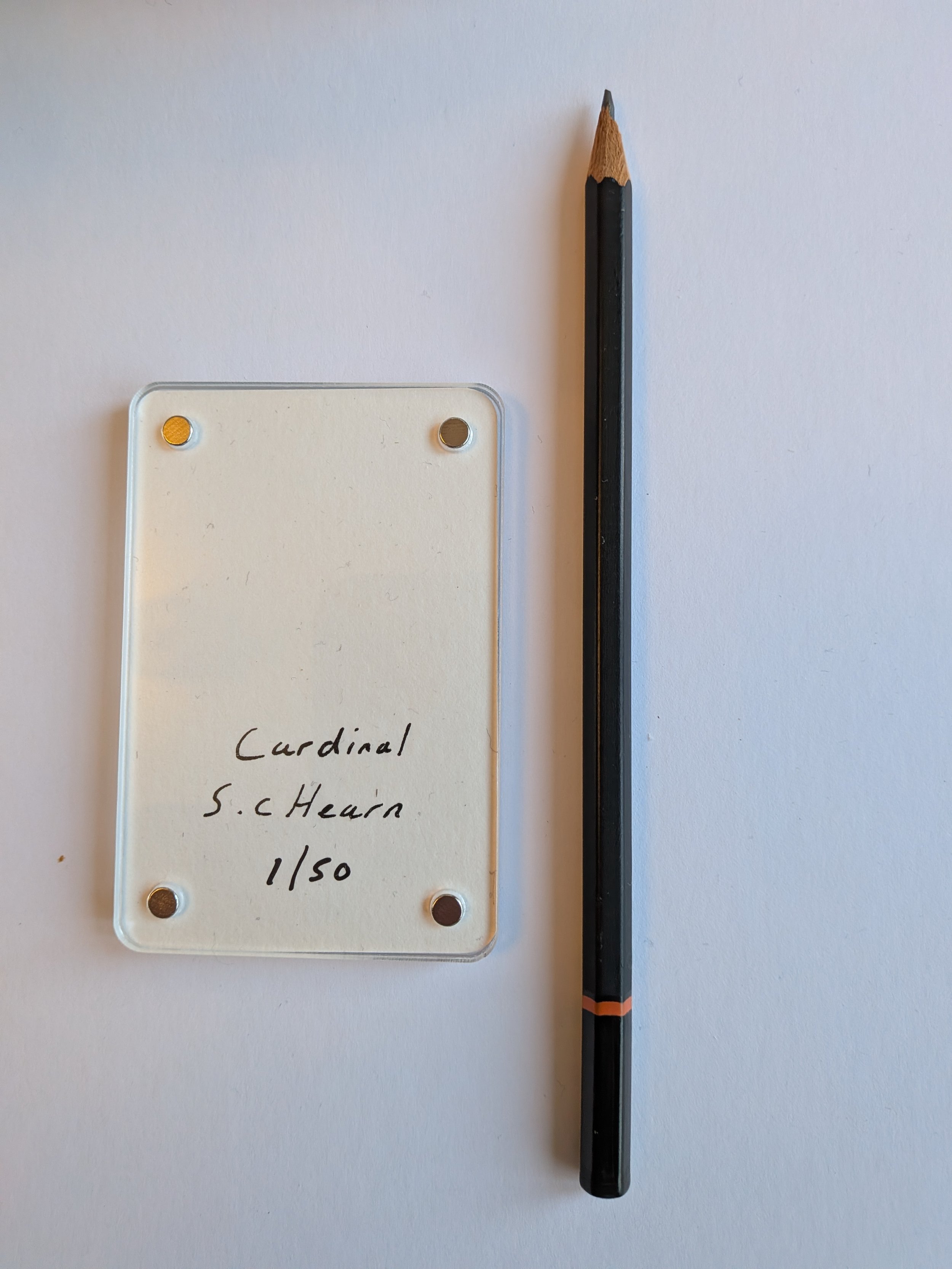 Cardinal writing.jpg