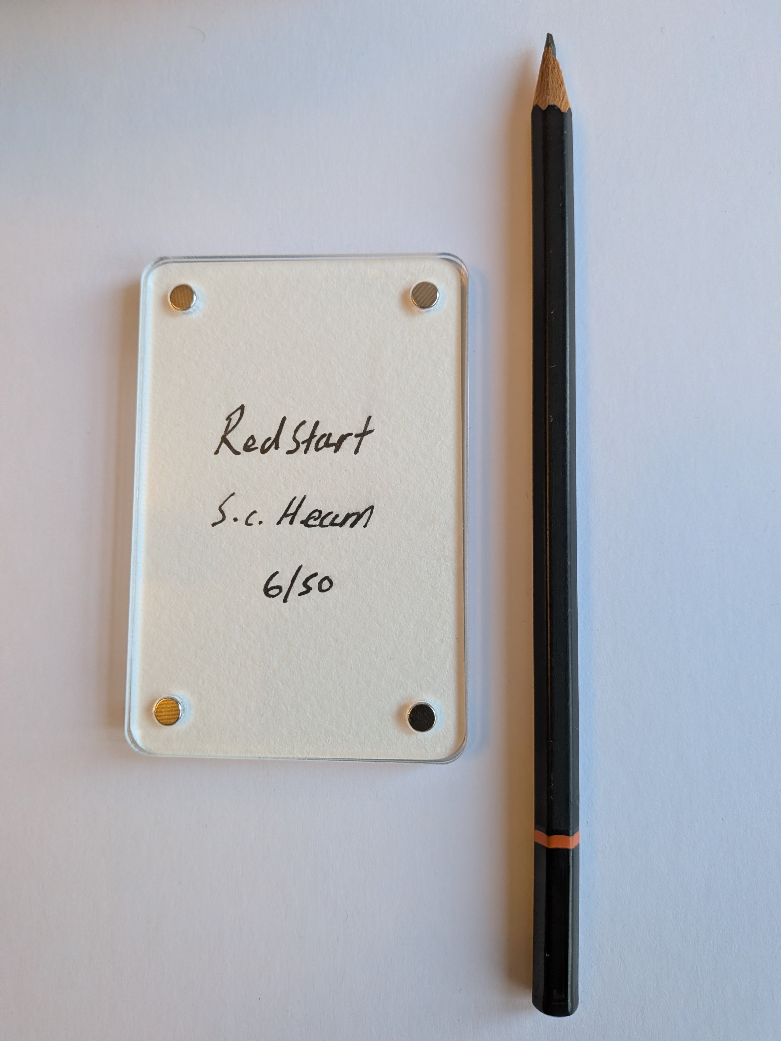 Redstart writing.jpg