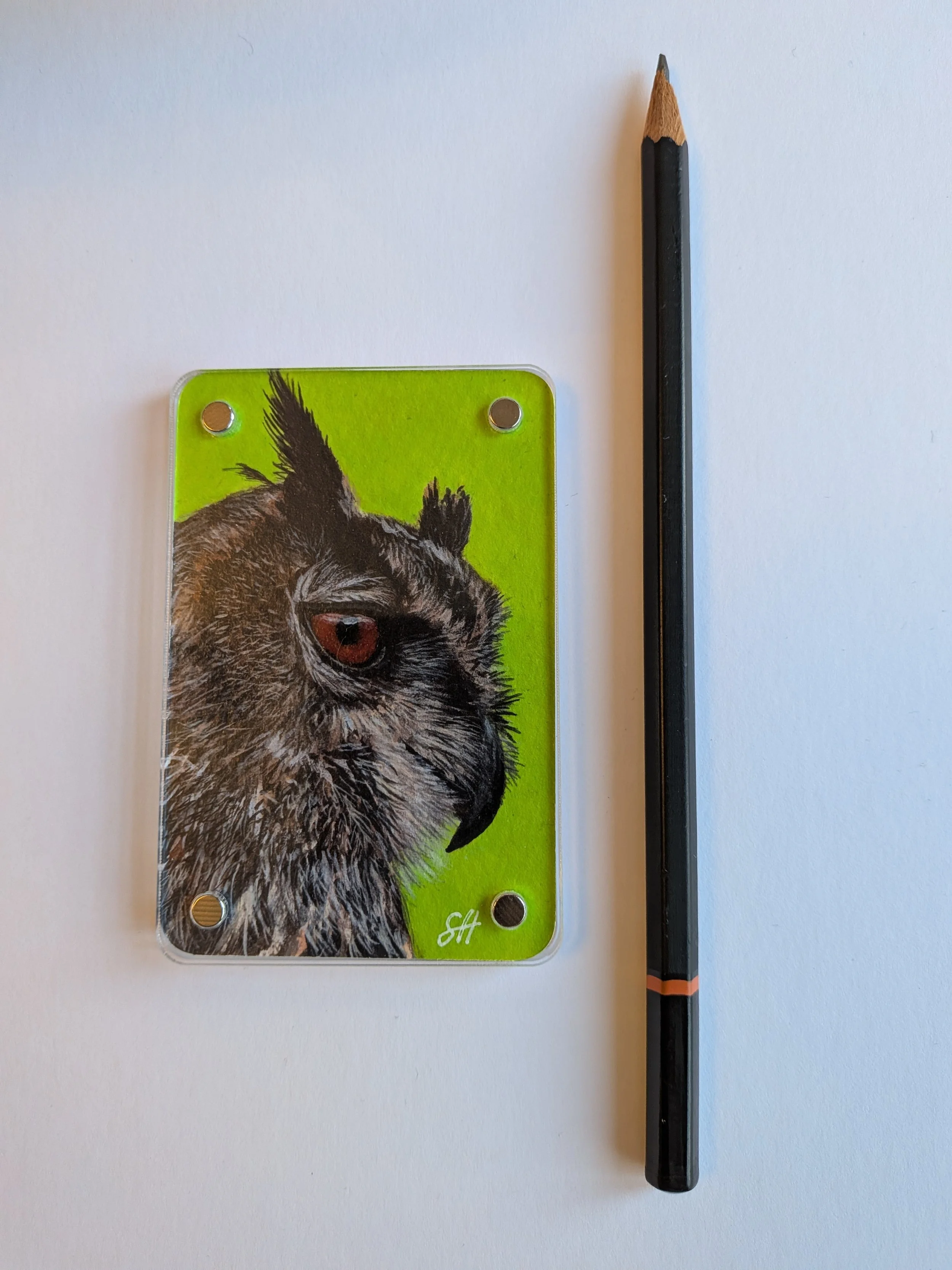 Eagle Owl with pencil.jpg