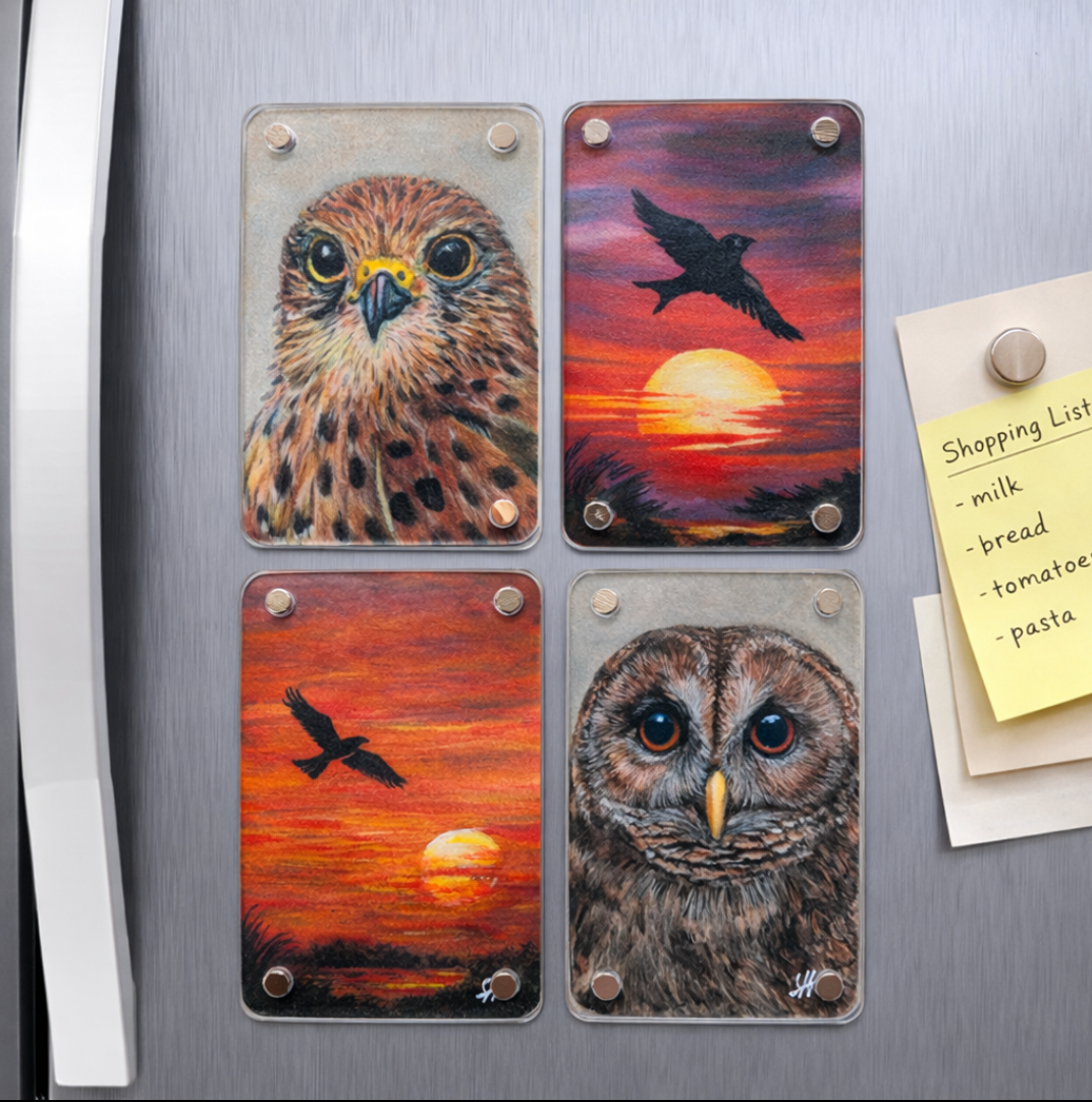 kestrel swallow buzzard tawny fridge.png