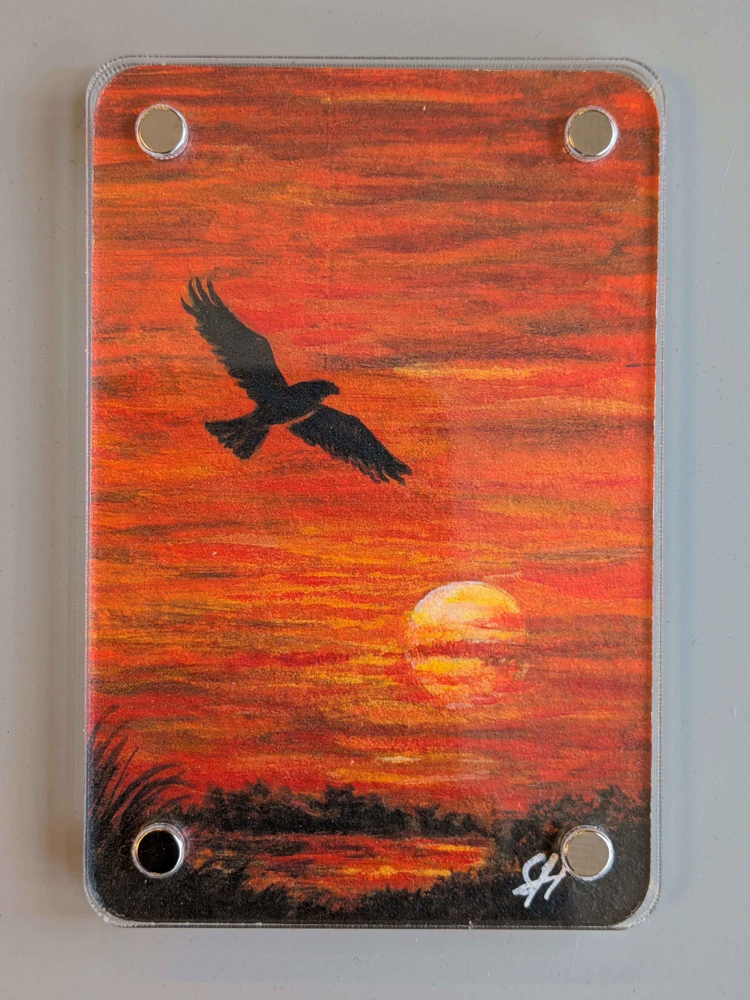 sunset silhouette buzzard.jpg