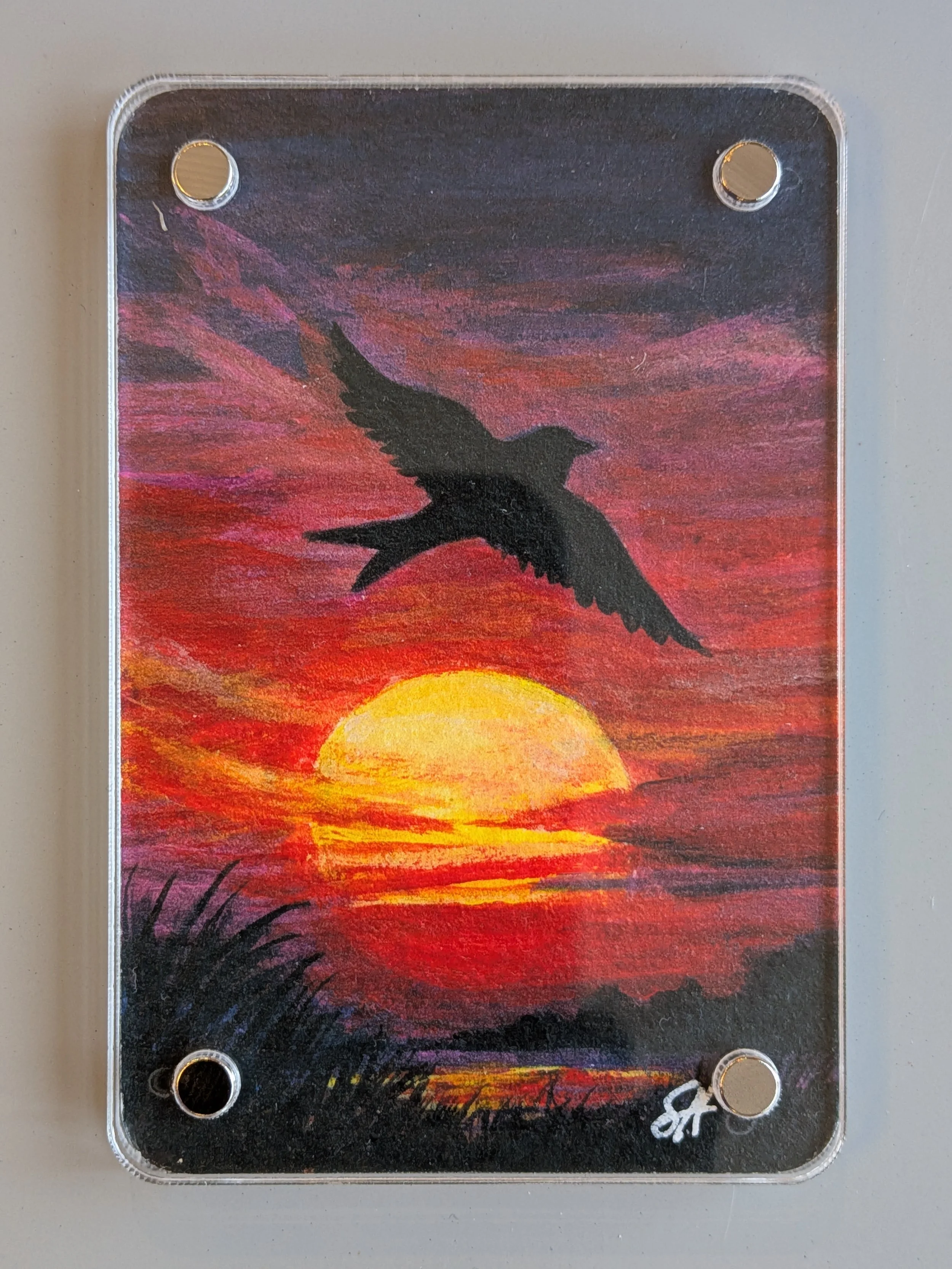 sunset silhouette swallow front.jpg