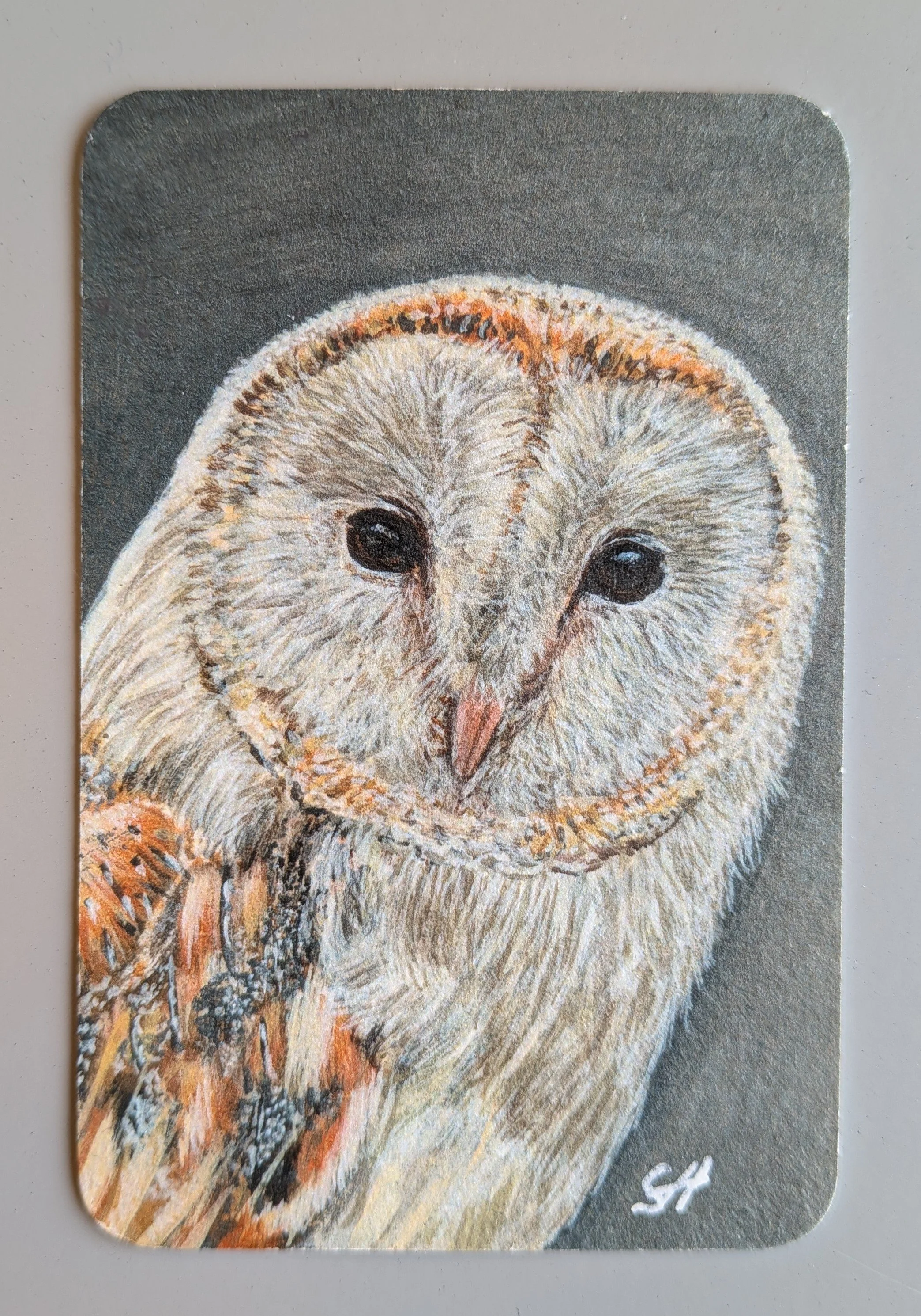 Barn Owl Mini Art Magnet (Limited to 50)