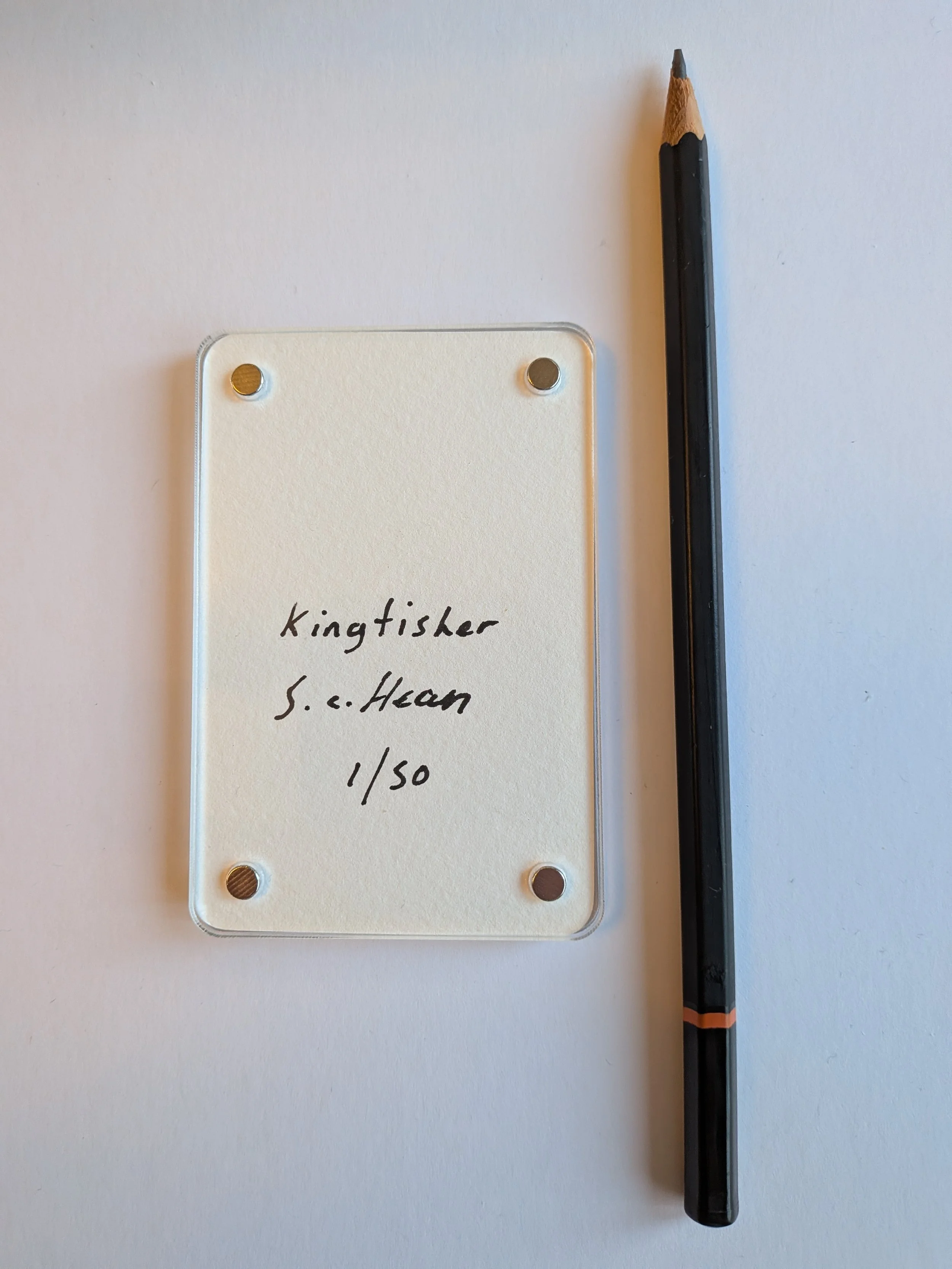 Kingfisher writing.jpg