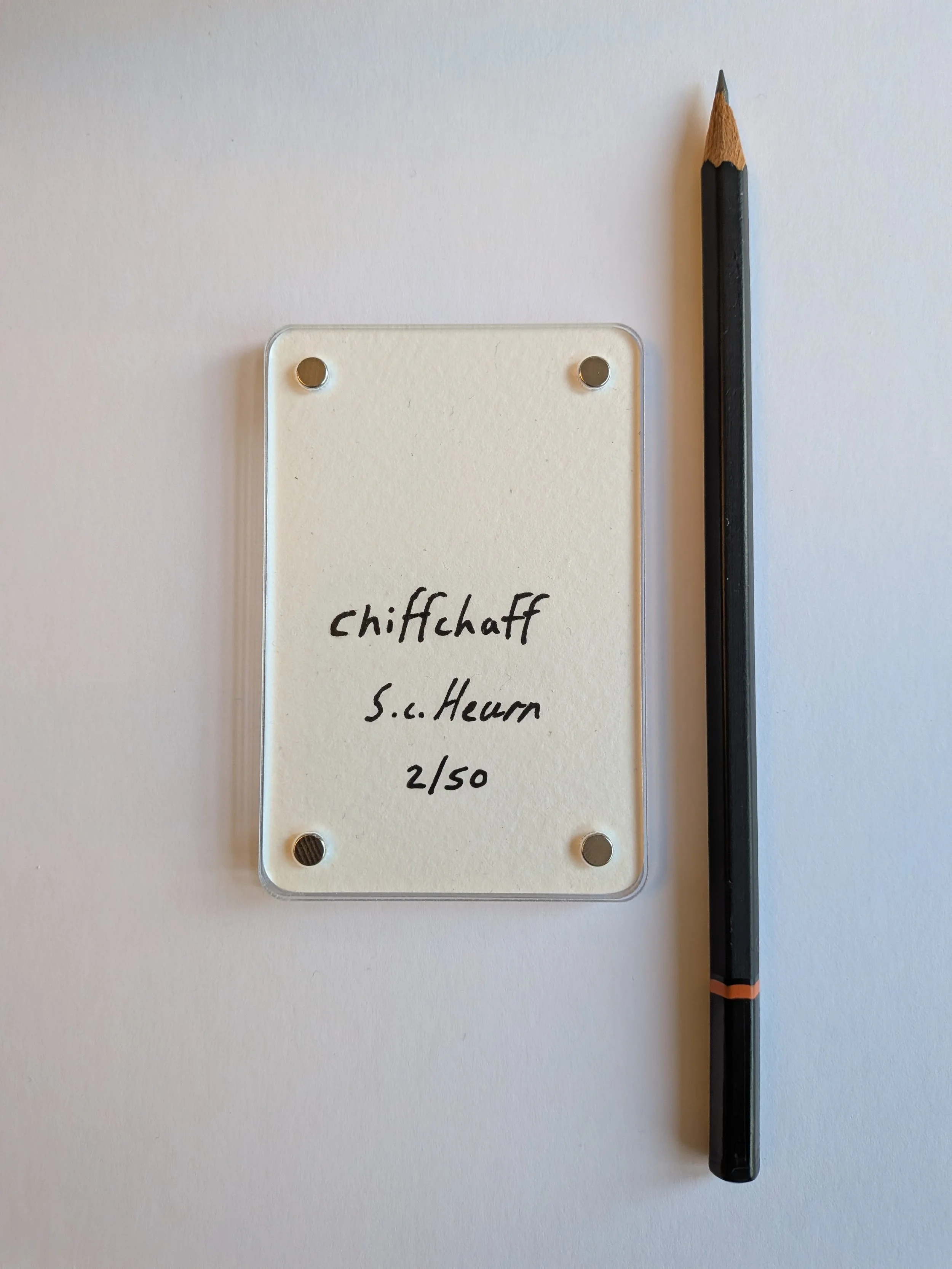 Chiffchaff writing.jpg