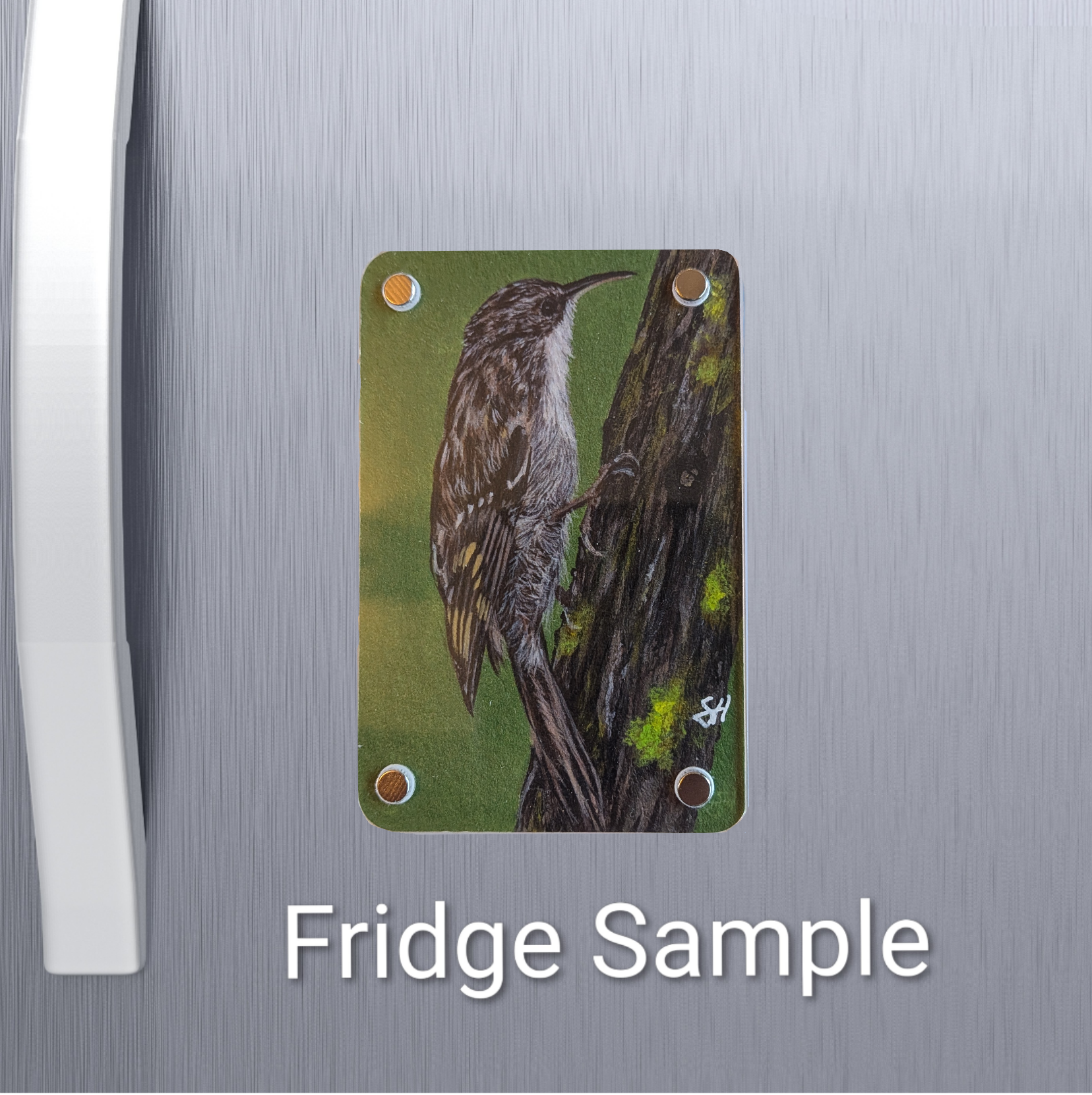 Treecreeper Fridge magnet.png