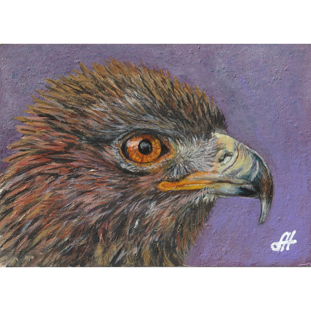 golden eagle cropped.png