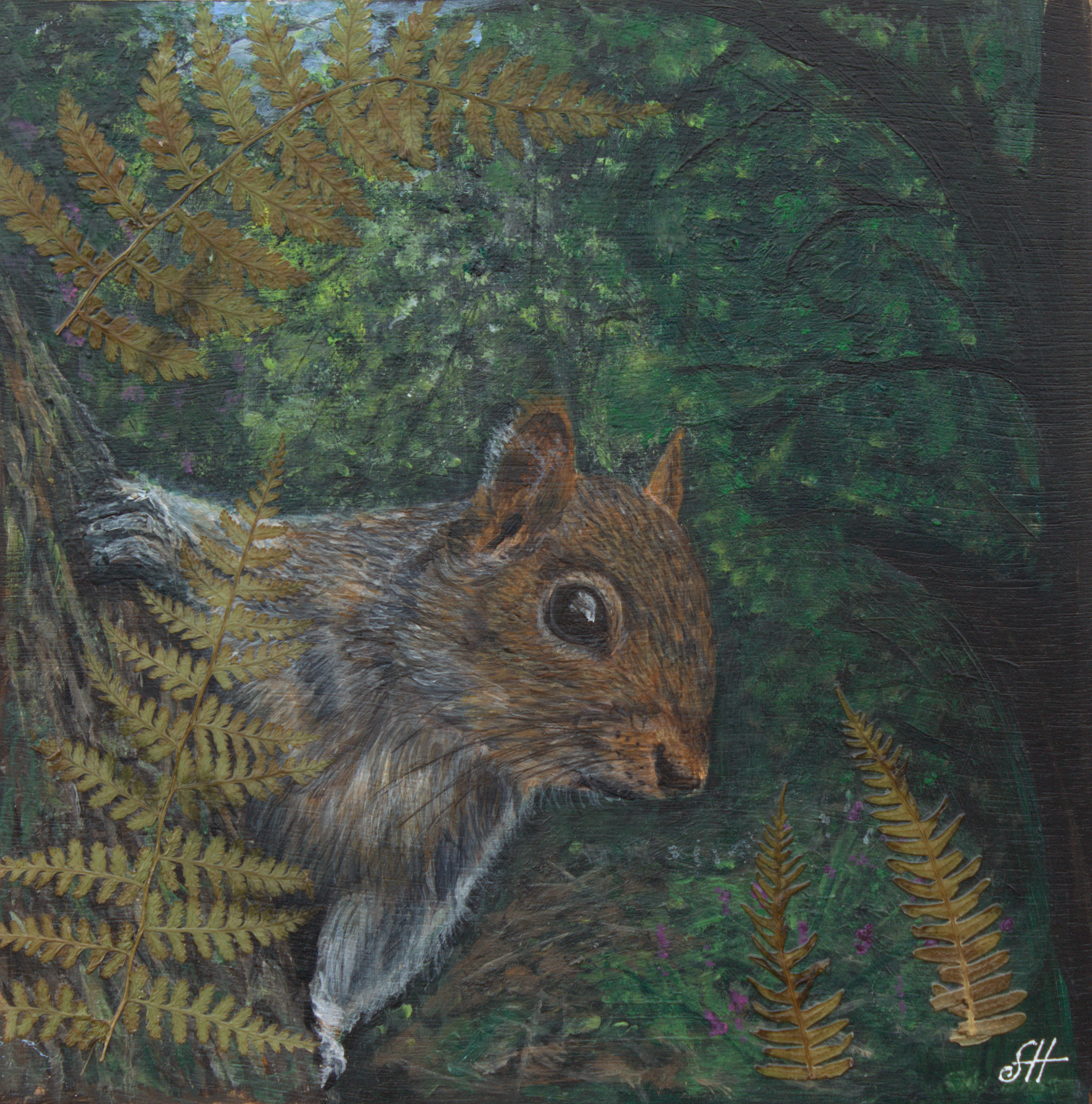 squirell.png