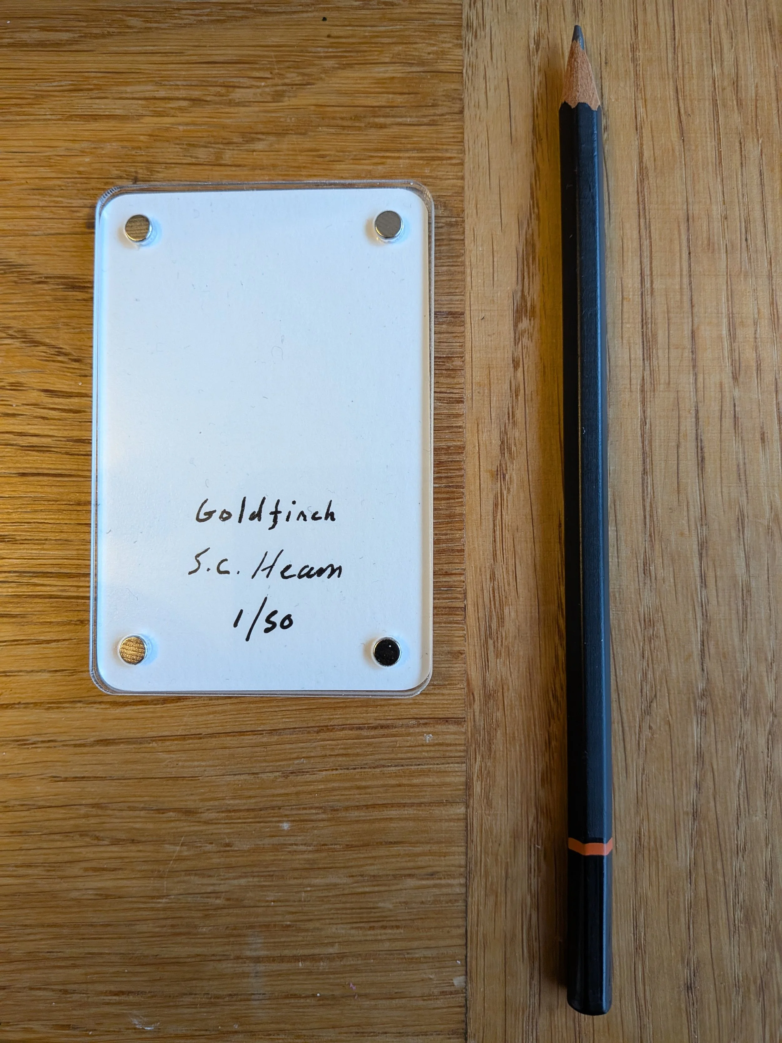 Goldfinch writing2.jpg