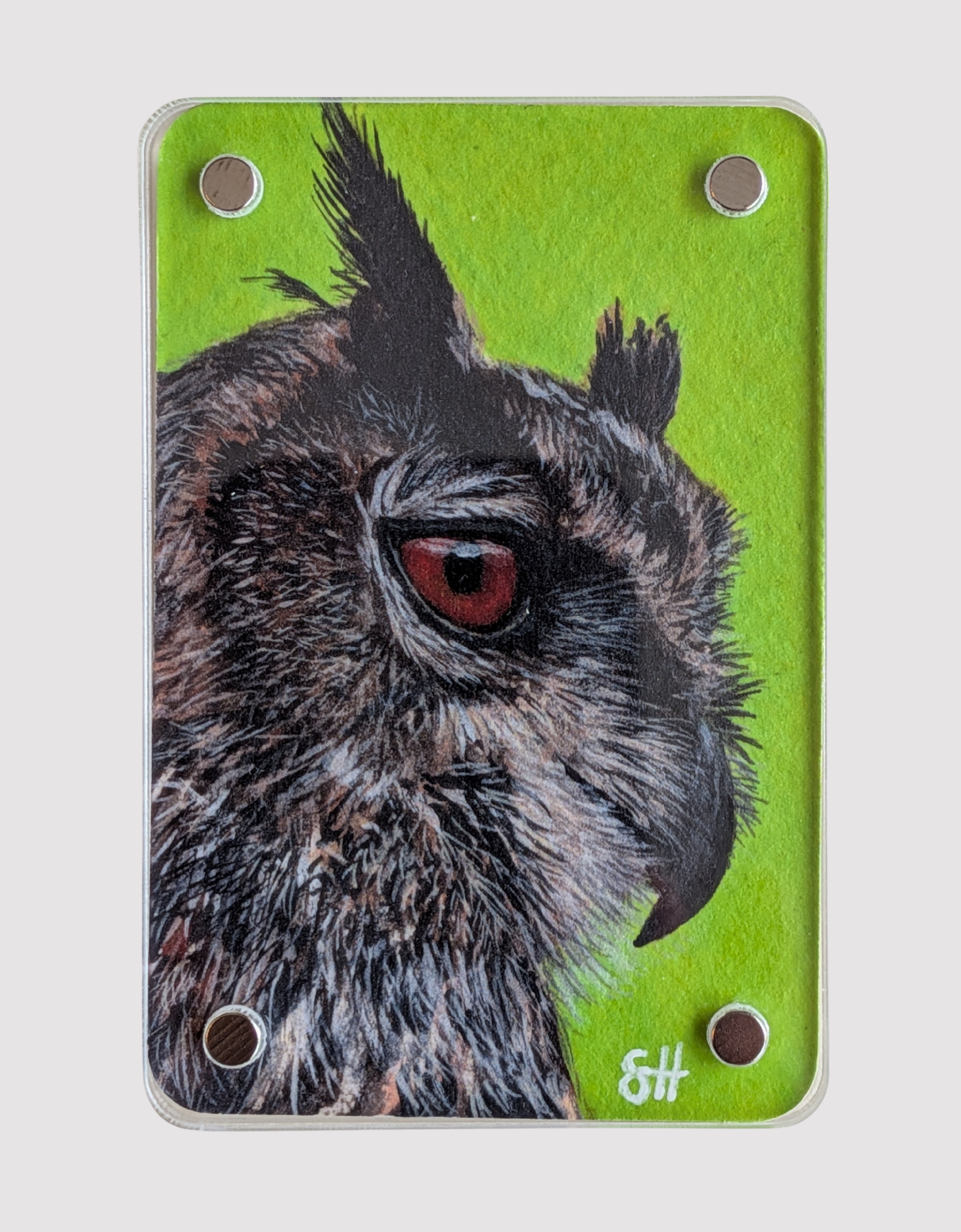 Eagle Owl - Mini Fine Art Magnet (Limited to 50)