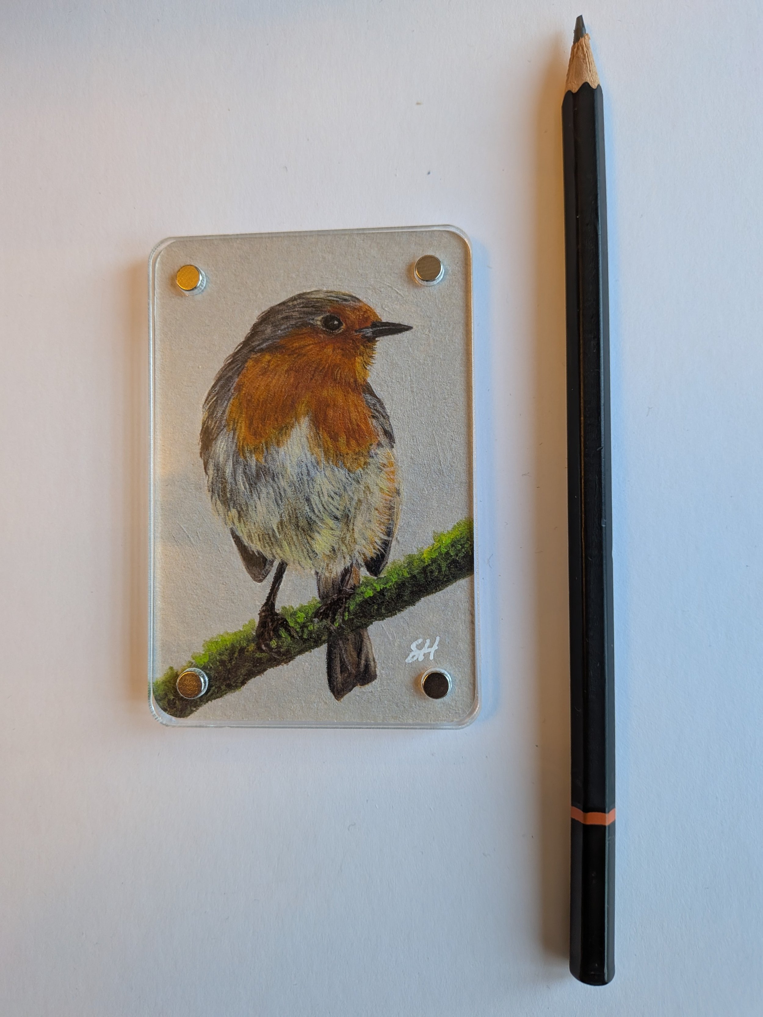 Robin with pencil.jpg